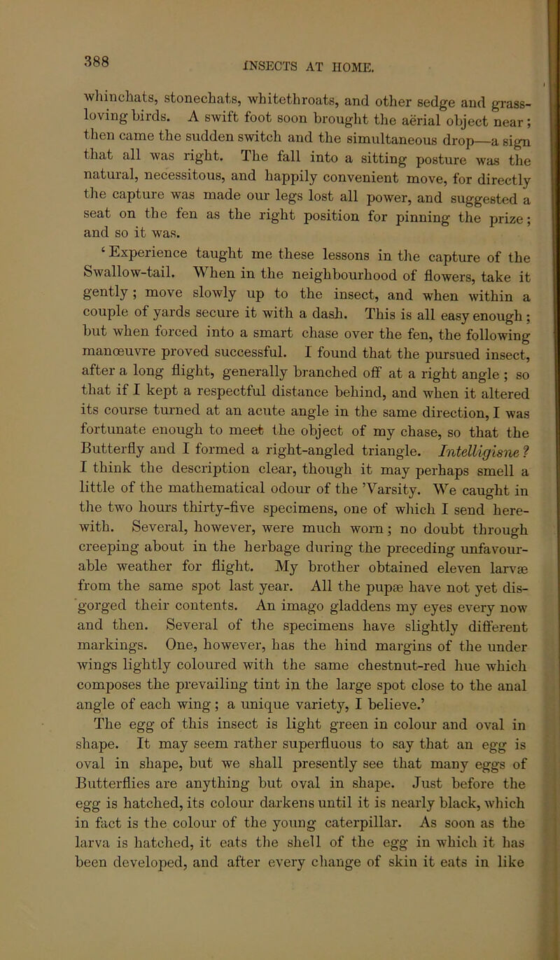 whinchats, stonechats, whitethroats, and other sedge and grass- loving birds. A swift foot soon brought the aerial object near; then came the sudden switch and the simultaneous drop a sign that all was right. The fall into a sitting posture was the natuial, necessitous, and happily convenient move, for directly tlie capture was made our legs lost all power, and suggested a seat on the fen as the right position for pinning the prize; and so it was. ‘ Experience taught me these lessons in the capture of the Swallow-tail. W^hen in the neighbourhood of flowers, take it gently; move slowly up to the insect, and when within a couple of yards secure it with a dash. This is all easy enough ; but when forced into a smart chase over the fen, the following manoeuvre proved successful. 1 found that the pursued insect, after a long flight, generally branched off at a right angle ; so that if I kept a respectful distance behind, and when it altered its course turned at an acute angle in the same direction, I was fortunate enough to meet the object of my chase, so that the Butterfly and I formed a right-angled triangle. Intelligisne ? I think the description clear, though it may perhaps smell a little of the mathematical odour of the ’Varsity. We caught in the two hours thirty-five specimens, one of wliich I send here- with. Several, however, were much worn; no doubt through creeping about in the herbage during the preceding unfavour- able weather for flight. My brother obtained eleven larvse from the same spot last year. All the pupae have not yet dis- gorged their contents. An imago gladdens my eyes every now and then. Several of the specimens have slightly different markings. One, however, has the hind margins of the under wings lightly coloured with the same chestnut-red hue which composes the prevailing tint ip. the large spot close to the anal angle of each wing; a unique variety, I believe.’ The egg of this insect is light green in colour and oval in shape. It may seem rather superfluous to say that an egg is oval in shape, but we shall presently see that many eggs of Butterflies are anything but oval in shape. Just before the egg is hatched, its colour darkens until it is nearly black, which in fact is the colour of the young caterpillar. As soon as the larva is hatched, it eats the shell of the egg in which it lias been develojied, and after every change of skin it eats in like