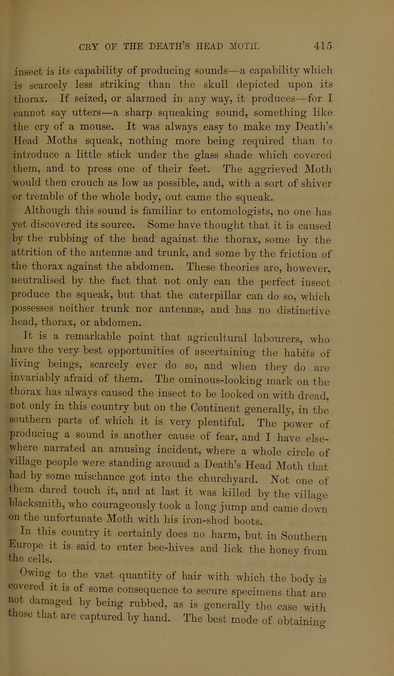 insect is its capability of producing sounds—a capability which is scarcely less striking than the skull depicted upon its tliorax. If seized, or alarmed in any way, it produces—for I cannot say utters—a sharp squeaking sound, something like the cry of a mouse. It was always easy to make my Death’s Head Moths squeak, nothing more being required than to introduce a little stick under the glass shade which covered them, and to press one of their feet. The aggrieved Moth would then crouch as low as possible, and, with a sort of shiver or tremble of the whole body, out came the squeak. Although this sound is familiar to entomologists, no one has yet discovered its source. Some have thought that it is caused by the rubbing of the head against the thorax, some by the attrition of the antennae and trimk, and some by the friction of the thorax against the abdomen. These theories are, however, neutralised by the fact that not only can the perfect insect produce the squeak, but that the caterpillar can do so, whicli possesses neither trunk nor antennae, and has no distinctive head, thorax, or abdomen. It is a remarkable point that agricultural laboni-ers, wlio have the very best opportunities of ascertaining the habits of living beings, scarcely ever do so, and Avhen they do are im^ariably afraid of them. The ominous-looking mark on the thorax has always caused the insect to be looked on with dread, not only in this country but on the Continent generally, in the southern parts of which it is very plentiful. The power of producing a sound is another cause of fear, and I have else- where narrated an amusing incident, where a whole circle of village people were standing around a Death’s Head Moth that had by some mischance got into the churchyard. Hot one of them dared touch it, and at last it was killed by the village blacksmith, who courageously took a long jump and came down on the unfortunate Moth with his iron-shod boots. In this wnntry it certainly does no harm, but in Southern Europe it is said to enter bee-hives and lick the honey from the cells. Owing to the vast quantity of hair with which the body is covered it is of some consequence to secure specimens that are not damaged by being rubbed, as is generally the case ivith lose that arc captured by hand. The best mode of obtainino-