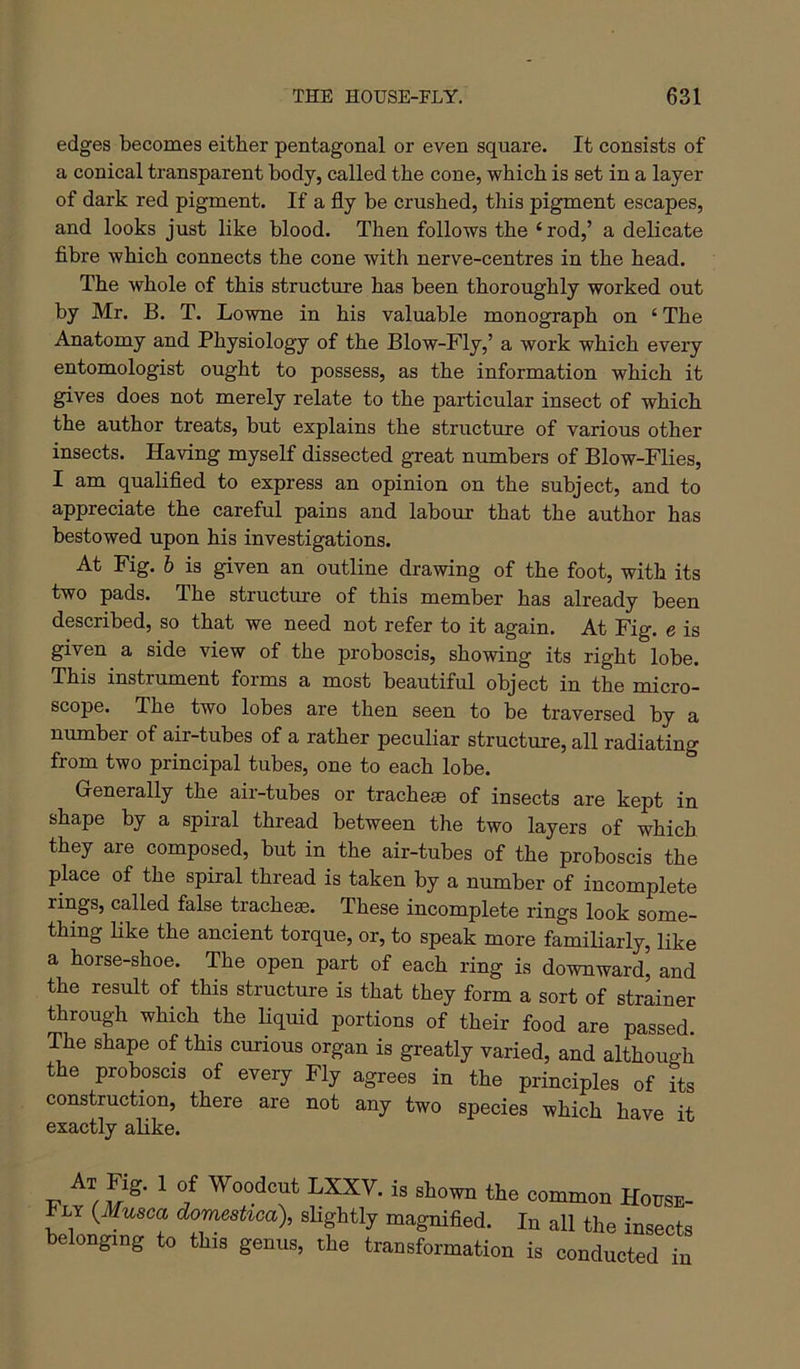 edges becomes either pentagonal or even square. It consists of a conical transparent body, called the cone, which is set in a layer of dark red pigment. If a fly be crushed, this pigment escapes, and looks just like blood. Then follows the ‘rod,’ a delicate fibre which connects the cone with nerve-centres in the head. The whole of this structure has been thoroughly worked out by Mr. B. T. Lowne in his valuable monograph on ‘ The Anatomy and Physiology of the Blow-Fly,’ a work which every entomologist ought to possess, as the information which it gives does not merely relate to the particular insect of which the author treats, but explains the structure of various other insects. Having myself dissected great numbers of Blow-Flies, I am qualified to express an opinion on the subject, and to appreciate the careful pains and labour that the author has bestowed upon his investigations. At Fig. b is given an outline drawing of the foot, with its two pads. The structure of this member has already been described, so that we need not refer to it again. At Fig. e is given a side view of the proboscis, showing its right lobe. This instrument forms a most beautiful object in the micro- scope. The two lobes are then seen to be traversed by a number of air-tubes of a rather peculiar structure, all radiating from two principal tubes, one to each lobe. Generally the air-tubes or tracheae of insects are kept in shape by a spiral thread between the two layers of which they are composed, but in the air-tubes of the proboscis the place of the spiral thread is taken by a number of incomplete rings, called false tracheae. These incomplete rings look some- thing like the ancient torque, or, to speak more familiarly, like a horse-shoe. The open part of each ring is downward, and the result of this structure is that they form a sort of strainer through which the Liquid portions of their food are passed. The shape of this curious organ is greatly varied, and although the proboscis of every Fly agrees in the principles of its construction, there are not any two species which have it exactly alike. Fut^r ^ Woodcut LXXV. is shown the common Hotjse- Fly (^Musca domeshca), shghtly magnified. In all the insects belonging to this genus, the transformation is conducted in