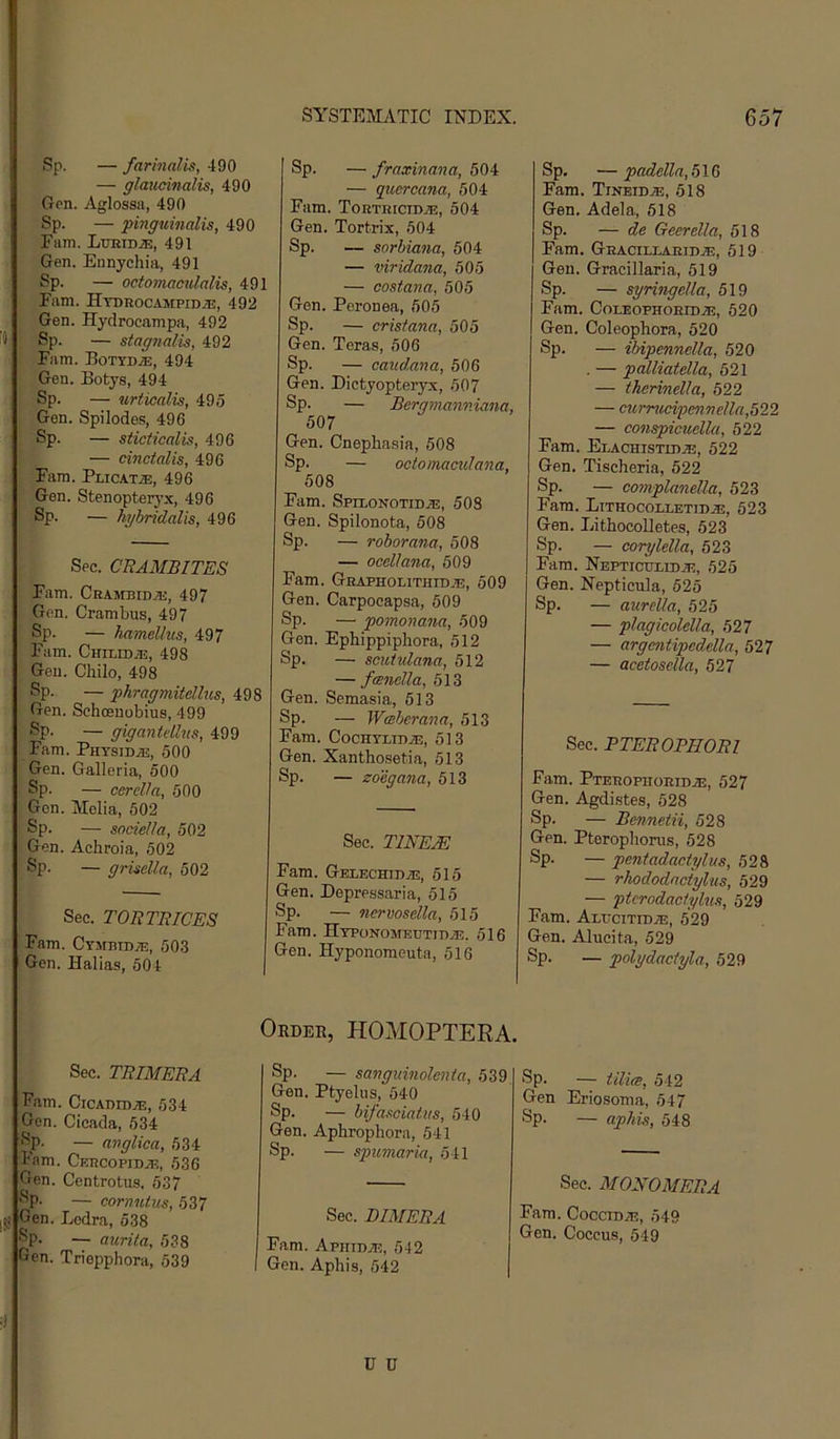 Sp. — farinalis, 490 — glaucinalis, 490 Gen. Aglossa, 490 Sp. — pinguinalis, 490 Fam. LrEiDJE, 491 Gen. Ennychia, 491 Sp. — octomaculalis, 491 Fam. Htdrocampid.?e, 492 Gen. Hydroeampa, 492 Sp. — stagnalis, 492 Fam. Botydte, 494 Gen. Botys, 494 Sp. — urticalis, 495 Gen. Spilodes, 496 Sp. — sticticalis, 496 — cinctalis, 496 Fam. PLicATiE, 496 Gen. Stenopteryx, 496 Sp. — hgbridalis, 496 Sec. CBAMBITES Fam. Crambid;e, 497 Gen. Cram bus, 497 Sp. — hamellus, 497 Fam. Chirid^e, 498 Gen. Chilo, 498 Sp. — phragmitcllus, 498 Gen. Schoeuobius, 499 •-P- — gigantellus, 499 Fam. PhysiDje, 600 Gen. Galleria, 600 Sp. — cerdla, 600 Gen. Melia, 502 Sp. — sodella, 502 Gen. Achroia, 502 ®P- — grisella, 502 Sec. TORTEICES Fam. CyiiBiDjE, 503 Gon. Halias, 604 | Sp. — fraxinana, 504 — guercana, 604 Fam. ToRTRiciDiE, 504 Gen. Tortrix, 604 Sp. — sorbiana, 504 — viridana, 605 — costana, 505 Gen. Peronea, 505 Sp. — cristana, 505 Gen. Teras, 506 Sp. — caudana, 506 Gen. Dietyopter3Tc, 607 Sp. — Bergmanniana, 507 Gen. Cneplmsia, 508 Sp. — ociomaculana, 608 Fam. SPELONOTiDiE, 508 Gen. Spilonota, 508 Sp. — roborana, 508 — ocellana, 509 Fam. GnAPHOUTHrojE, 509 Gen. Carpocapsa, 609 Sp. — pomonana, 509 Gen. Ephippiphora, 612 Sp. — scuiidana, 512 — feencUa, 613 Gen. Semasia, 613 Sp. — Wceberana, 513 Fam. CochybiDjE, 513 Gen. Xanthosetia, 513 Sp. — z deg ana, 613 Sec. TINEM Fam. Gelechid^, 515 Gen. Depressaria, 615 Sp. — nervosdla, 515 Fam. Hyponomeutit)Z3. 516 Gen. Hyponomeuta, 616 Sp, — padella, 516 Fam. Tineid.®, 618 Gen. Adela, 618 Sp. — de Geerella, 518 Fam, Graciixaridje, 519 Gen. Gracillaria, 519 Sp. — syringella, 519 Fam. CoLEOPHORiDiE, 620 Gen. Coleophora, 520 Sp. — ibipennella, 520 . — palliatella, 621 — therinella, 522 — currucipcnnella,522 — conspicuella, 522 Fam. EnACHiSTiDjE, 522 Gen. Tischeria, 522 Sp. — complanella, 523 Fam. Lithocolletidje, 523 Gen. Lithocolletes, 523 Sp. — corylella, 523 Fam. NEPTiCTjEiDiE, 525 Gen. Nepticula, 525 Sp. — aurclla, 525 — plagicolella, 527 — argejitipedella, 527 — acetosella, 527 Sec. PTEROPHORl Fam. PTEROpnoRiD.®, 527 Gen. Agdi.stes, 528 Sp. — Bennetii, 528 Gen. Ptorophoms, 528 Sp. — pentadactylus, 528 — rJiododaciyhis, 629 — ptcrodactylun, 529 Fam. ALnciTiDiE, 529 Gen. Alucita, 529 Sp. — polydactyla, 529 Sec. TRIMEBA Fam. CicADiDJE, 634 Gen. Cicada, 534 Sp. — anglica, 634 Fam. Cercopidvt:, 636 Gen. Centrotus. 637 Sp. — cornutus, 637 Gen. Lcdra, 538 Sp. — aurita, 538 Gen. Triepphora, 539 Oedee, HOMOPTERA. Sp. — sanguinolcnia, 539 Gen. Ptyelus, 640 Sp. — bifaeciatus, 540 Gen. Aphrophora, 541 Sp. — spumarm, 541 Sp. — tiVug, 542 Gen Eriosoma, 547 Sp. — aphis, 548 Sec. BIMERA Fam. Aphid.;e, 542 I Gen. Aphis, 542 Sec. MOXOMERA Fam. CocciDiE, 549 Gen. Coccus, 649