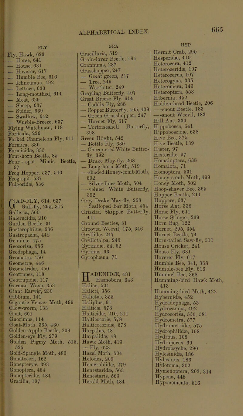 i fly « Fly, Hawk, 623 ’* — Horse, 641 I. — House, 631 * — Hoverer, 617 . — Humble Bee, 616 . — Ichneumou, 492 — Lettuce, 630 — Long-mouthed, 614 — Meat, 629 — Sheep, 637 — Spider, 639 — Swallow, 642 — Wurble-Breeze, 637 Flying Watchman, 118 Forflcula, 226 Forked Chameleon Fly, 611 Formica, 336 Formicidee, 335 Four-horn Beetle, 85 Four - spot Mimic Beetle, 97 Frog Hopper, 537, 540 Frog-spit, 537 Fulgoridee, 536 Gt AD-FLY, 614, 637 r GaU-fly, 295, 315 Galleria, 500 Galerucidae, 210 Garden Beetle, 31 Gasterophilus, 636 Gastropacha, 442 Genuinse, 475 Geocorisa, 556 Geodephaga, 14 Geometra, 450 Geometrae, 446 Geometridse, 450 Geotrupes, 118 Geotrupidae, 117 Gorman Wasp, 353 Giant Earwig, 230 Gibbium, 141 Gigantic Veneer Moth, 499 Glow-worm, 133 Gnat, 601 Gnorimus, 114. Goat-Moth, 365, 430 Golden-Apple Beetle, 208 Golden-eye Fly, 279 Golden Pigmy Moth, 515, 525 “ Gold-Spangle Moth, 483 Gonatoceri, 162 '< Gonepteryaj, 393 •i Gonoptera, 484 >< Gonopteridae, 484 1 Gracilia, 197 GHA Gracillaria, 519 Grain-lover Beetle, 184 Grannums, 287 Grasshopper, 247 — Great green, 247 — Tree, 249 — Wartbitor, 249 Grayling Butterfly, 407 Great Breeze Fly, 614 — Caddis Fly, 288 — Copper Butterfly, 405, 409 — Green Grasshopper, 247 — Hornet Fly, 617 — Tortoiseshell Butterfly, 398 Green Blight, 542 — Bottle Fly, 630 — ChecqueredWhite Butter- fly, 392 — Drake May-fly, 268 — Long-horn Moth, 519 —shaded Honey-comb Moth, 502 — Silver-lines Moth, 504 —veined White Butterfly, 392 Grey Drake May-fly, 268 — Scalloped Bar Moth, 454 Grizzled Skipper Butterfly, 411 Ground Beetles, 31 Grooved Weevil, 175, 346 Gryllidae, 247 Gryllotalpa, 245 Gyriuidae, 54, 62 Gyrinus, 63 Gyrophaena, 71 HADENID^, 481 Haemobora, 643 Halias, 504 Halicti, 356 Halictus, 355 Haliplus, 61 Halticae, 578 Halticidae, 210, 211 Halticocoris, 578 Halticocoridae, 578 Harpalus, 48 Harpalidae, 48 Hawk Moth, 413 — Fly, 623 Hazel Moth, 504 Helodes, 209 Hemerobiidse, 279 Henestaridae, 563 Henestaris, 563 Herald Moth, 484 HYP Hermit Crab, 290 Hesperidae, 410 Heterocera, 412 Heteroceridae, 107 Heterocerus, 107 Heterogyna, 335 Heteromera, 143 Heteroptera, 553 Hibernia, 452 Hidden-head Beetle, 206 snout Beetle, 183 snout Weevil, 183 Hill Ant, 336 Hippobosca, 641 Hippoboscidae, 638 Hive Bee, 375 Hive Beetle, 139 Hister, 97 Histeridae, 97 Homaloptera, 638 Homalota, 71 Homoptera, 531 Honey-comb Moth, 499 Honey Moth, 502 Hoop-shaver Bee, 365 Hopper Beetle, 211 Hoppers, 537 Horse Ant, 336 Horse Fly, 641 Horse Stinger, 269 Horn Bug, 122 Hornet, 295, 354 Hornet Beetle, 74 Horn-tailed Saw-fl}', 311 House Cricket, 241 House Fly, 631 Hoverer Fly, 617 Humble Bee, 341, 368 Humble-bee Fly, 616 Hummel Bee, 368 Humming-bird Hawk Moth, 413 Humming-bird Moth, 422 Hybernidae, 452 Hydradephaga, 53 Hydrocampa, 492 Hydrocorisa, 556, 581 Hydrometra, 577 Hydrometridae, 575 Hydrophilidoe, 108 Hydroiis, 108 Hydi’oporus, 60 Hydropsyche, 290 Hylesinidae, 186 Hylesinus, 186 Hylotoma, 302 Hymenoptera, 203, 314 Hypena, 448 Hyponomeuta, 616