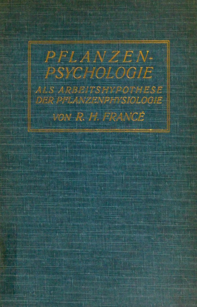 digitised image 1
