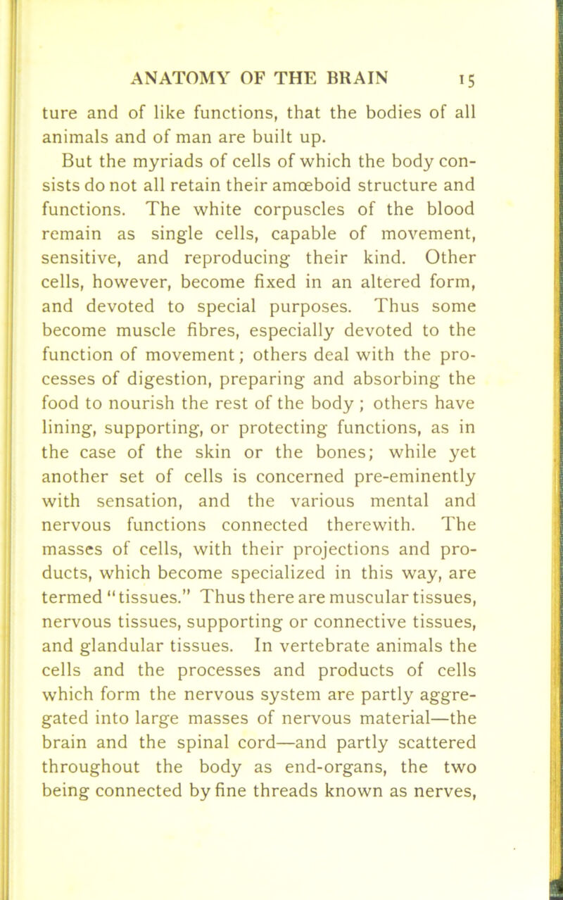 ture and of like functions, that the bodies of all animals and of man are built up. But the myriads of cells of which the body con- sists do not all retain their amceboid structure and functions. The white corpuscles of the blood remain as single cells, capable of movement, sensitive, and reproducing their kind. Other cells, however, become fixed in an altered form, and devoted to special purposes. Thus some become muscle fibres, especially devoted to the function of movement; others deal with the pro- cesses of digestion, preparing and absorbing the food to nourish the rest of the body ; others have lining, supporting, or protecting functions, as in the case of the skin or the bones; while yet another set of cells is concerned pre-eminently with sensation, and the various mental and nervous functions connected therewith. The masses of cells, with their projections and pro- ducts, which become specialized in this way, are termed “ tissues.” Thus there are muscular tissues, nervous tissues, supporting or connective tissues, and glandular tissues. In vertebrate animals the cells and the processes and products of cells which form the nervous system are partly aggre- gated into large masses of nervous material—the brain and the spinal cord—and partly scattered throughout the body as end-organs, the two being connected by fine threads known as nerves,