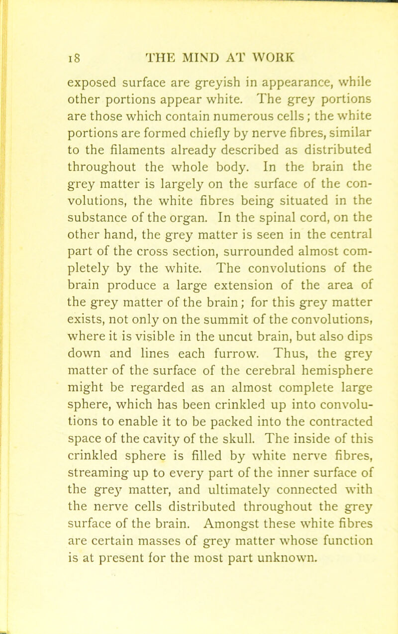 exposed surface are greyish in appearance, while other portions appear white. The grey portions are those which contain numerous cells; the white portions are formed chiefly by nerve fibres, similar to the filaments already described as distributed throughout the whole body. In the brain the grey matter is largely on the surface of the con- volutions, the white fibres being situated in the substance of the organ. In the spinal cord, on the other hand, the grey matter is seen in the central part of the cross section, surrounded almost com- pletely by the white. The convolutions of the brain produce a large extension of the area of the grey matter of the brain; for this grey matter exists, not only on the summit of the convolutions, where it is visible in the uncut brain, but also dips down and lines each furrow. Thus, the grey matter of the surface of the cerebral hemisphere might be regarded as an almost complete large sphere, which has been crinkled up into convolu- tions to enable it to be packed into the contracted space of the cavity of the skull. The inside of this crinkled sphere is filled by white nerve fibres, streaming up to every part of the inner surface of the gre}r matter, and ultimately connected with the nerve cells distributed throughout the grey surface of the brain. Amongst these white fibres are certain masses of grey matter whose function is at present for the most part unknown.