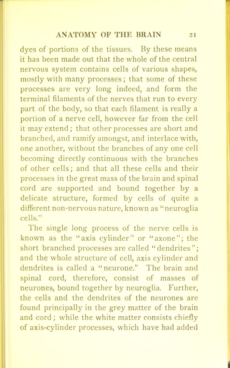 dyes of portions of the tissues. By these means it has been made out that the whole of the central nervous system contains cells of various shapes, mostly with many processes; that some of these processes are very long indeed, and form the terminal filaments of the nerves that run to every part of the body, so that each filament is really a portion of a nerve cell, however far from the cell it may extend ; that other processes are short and branched, and ramify amongst, and interlace with, one another, without the branches of any one cell becoming directly continuous with the branches of other cells; and that all these cells and their processes in the great mass of the brain and spinal cord are supported and bound together by a delicate structure, formed by cells of quite a different non-nervous nature, known as “neuroglia cells.” The single long process of the nerve cells is known as the “axis cylinder” or “axone”; the short branched processes are called “dendrites”; and the whole structure of cell, axis cylinder and dendrites is called a “ neurone.” The brain and spinal cord, therefore, consist of masses of neurones, bound together by neuroglia. Further, the cells and the dendrites of the neurones are found principally in the grey matter of the brain and cord; while the white matter consists chiefly of axis-cylinder processes, which have had added