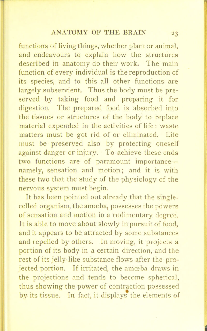 functions of living things, whether plant or animal, and endeavours to explain how the structures described in anatomy do their work. The main function of every individual is the reproduction of its species, and to this all other functions are largely subservient. Thus the body must be pre- served by taking food and preparing it for digestion. The prepared food is absorbed into the tissues or structures of the body to replace material expended in the activities of life: waste matters must be got rid of or eliminated. Life must be preserved also by protecting oneself against danger or injury. To achieve these ends two functions are of paramount importance— namely, sensation and motion; and it is with these two that the study of the physiology of the nervous system must begin. It has been pointed out already that the single- celled organism, the amoeba, possesses the powers of sensation and motion in a rudimentary degree. It is able to move about slowly in pursuit of food, and it appears to be attracted by some substances and repelled by others. In moving, it projects a portion of its body in a certain direction, and the rest of its jelly-like substance flows after the pro- jected portion. If irritated, the amoeba draws in the projections and tends to become spherical, thus showing the power of contraction possessed by its tissue. In fact, it displays the elements of