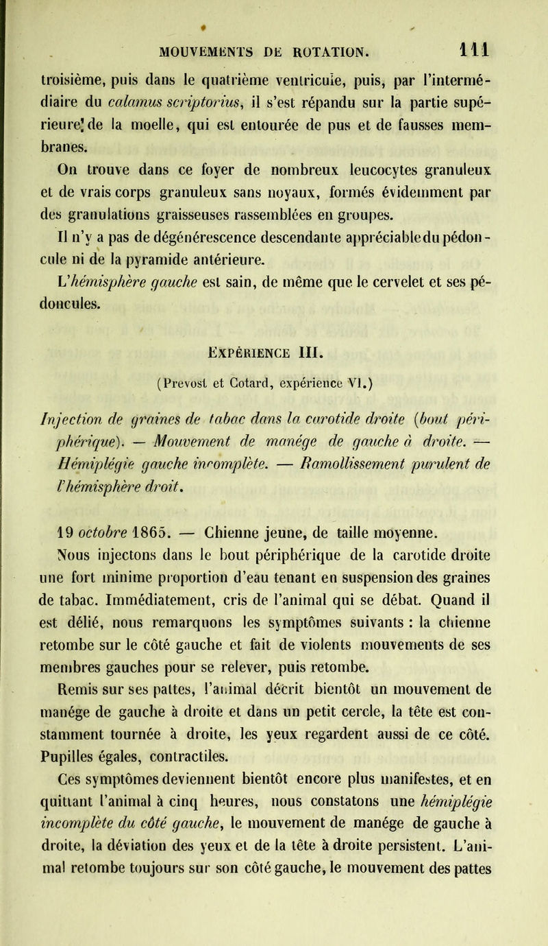 troisième, puis dans le quatrième ventricule, puis, par l’intermé- diaire du calamus scriptorius, il s’est répandu sur la partie supé- rieure’de la moelle, qui est entourée de pus et de fausses mem- branes. On trouve dans ce foyer de nombreux leucocytes granuleux et de vrais corps granuleux sans noyaux, formés évidemment par des granulations graisseuses rassemblées en groupes. Il n’v a pas de dégénérescence descendante appréciable du pédon- cule ni de la pyramide antérieure. Vhémisphère gauche est sain, de même que le cervelet et ses pé- doncules. Expérience III. (Prévost et Gotard, expérience VI.) Injection de graines de tabac dans la carotide droite (bout péri- phérique). — Mouvement de manège de gauche à droite. — Hémiplégie gauche incomplète. — B amollissement purulent de l’hémisphère droit. 19 octobre 1865. — Chienne jeune, de taille moyenne. Nous injectons dans le bout périphérique de la carotide droite une fort minime proportion d’eau tenant en suspension des graines de tabac. Immédiatement, cris de l’animal qui se débat. Quand il est délié, nous remarquons les symptômes suivants : la chienne retombe sur le côté gauche et fait de violents mouvements de ses membres gauches pour se relever, puis retombe. Remis sur ses pattes, l’animal décrit bientôt un mouvement de manège de gauche à droite et dans un petit cercle, la tête est con- stamment tournée à droite, les yeux regardent aussi de ce côté. Pupilles égales, contractiles. Ces symptômes deviennent bientôt encore plus manifestes, et en quittant l’animal à cinq heures, nous constatons une hémiplégie incomplète du côté gauche, le mouvement de manège de gauche à droite, la déviation des yeux et de la tête à droite persistent. L’ani- mal retombe toujours sur son côté gauche, le mouvement des pattes