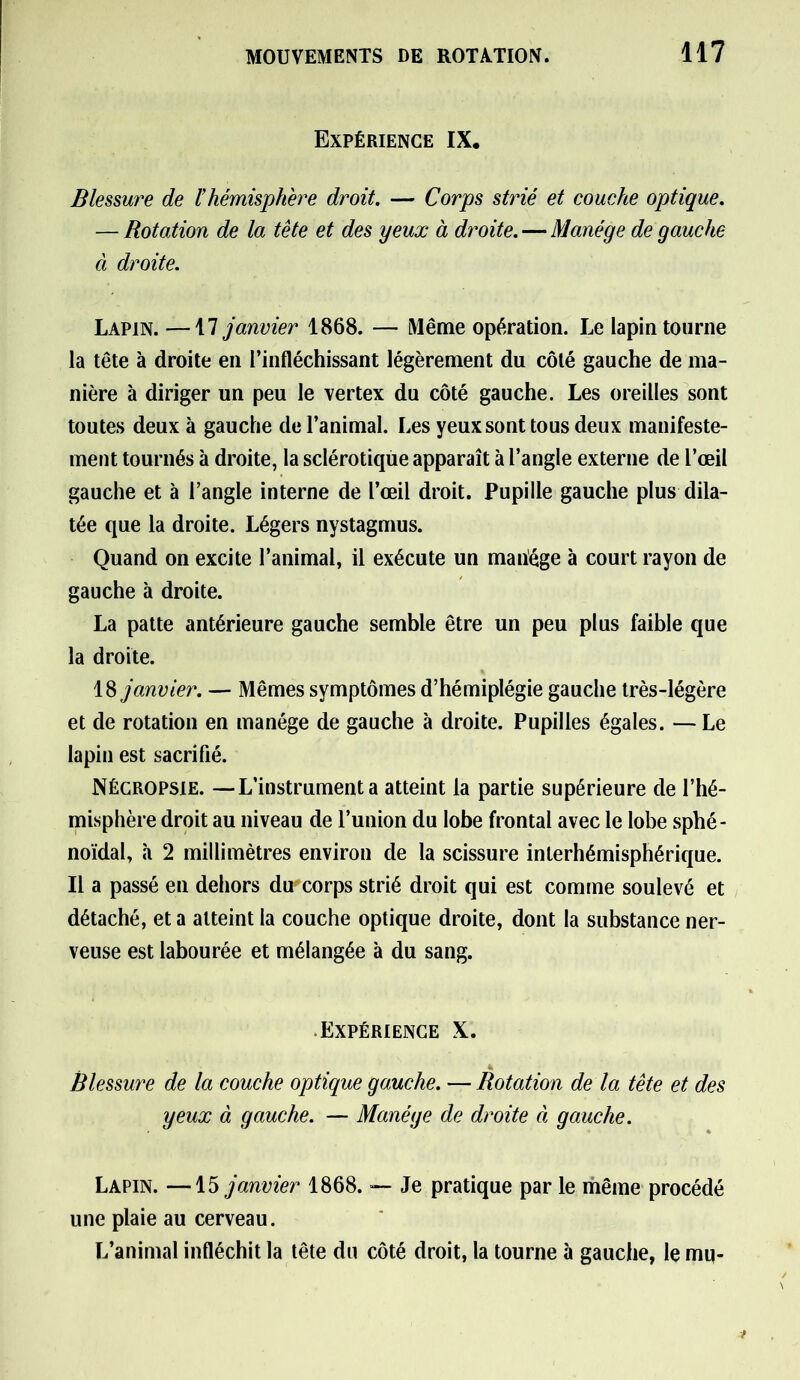 Expérience IX, Blessure de Vhémisphère droit. — Corps strié et couche optique. — Rotation de la tête et des yeux à droite. — Manège de gauche à droite. Lapin.—17 janvier 1868. — Même opération. Le lapin tourne la tête à droite en l’infléchissant légèrement du côté gauche de ma- nière à diriger un peu le vertex du côté gauche. Les oreilles sont toutes deux à gauche de l’animal. Les yeux sont tous deux manifeste- ment tournés à droite, la sclérotique apparaît à l’angle externe de l’œil gauche et à l’angle interne de l’œil droit. Pupille gauche plus dila- tée que la droite. Légers nystagmus. Quand on excite l’animal, il exécute un manège à court rayon de gauche à droite. La patte antérieure gauche semble être un peu plus faible que la droite. 18 janvier. — Mêmes symptômes d’hémiplégie gauche très-légère et de rotation en manège de gauche à droite. Pupilles égales. —Le lapin est sacrifié. Nécropsie. —L’instrumenta atteint la partie supérieure de l’hé- misphère droit au niveau de l’union du lobe frontal avec le lobe sphé- noïdal, à 2 millimètres environ de la scissure interhémisphérique. Il a passé en dehors du corps strié droit qui est comme soulevé et détaché, et a atteint la couche optique droite, dont la substance ner- veuse est labourée et mélangée à du sang. Expérience X. Blessure de la couche optique gauche. — Rotation de la tête et des yeux à gauche. — Manège de droite à gauche. Lapin. —15 janvier 1868. — Je pratique par le même procédé une plaie au cerveau. L’animal infléchit la tête du côté droit, la tourne à gauche, le mu-