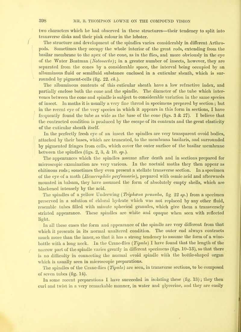 two characters which he had observed in these structures—their tendency to split into transverse disks and their pink colour in the lobster. The structure and development of the spindles varies considerably in different Arthro- pods. Sometimes they occupy the whole interior of the great rods, extending from the basilar membrane to the apex of the cone, as in the flies, and more obviously in the eye of the Water Boatman {Notonecta); in a greater number of insects, however, they are separated from the cones by a considerable space, the interval being occupied by an albuminous fluid or semifluid substance enclosed in a cuticular sheath, which is sur- rounded by pigment-cells (fig. 22. ch.). The albuminous contents of this cuticular sheath have a low refractive index, and partially enclose both the cone and the spindle. The diameter of the tube which inter- venes between the cone and spindle is subject to considerable variation in the same species of insect. In moths it is usually a very fine thread in specimens prepared by section; but in the recent eye of the very species in which it appears in this form in sections, I have frequently found the tube as wide as the base of the cone (figs. 3 & 27). I believe that the contracted condition is produced by the escape of its contents and the great elasticity of the cuticular sheath itself. In the perfectly fresh eye of an insect the spindles are very transparent ovoid bodies, attached by their bases, which are truncated, to the membrana basilaris, and surrounded by pigmented fringes from cells, which cover the outer surface of the basilar membrane between the spindles (figs. 2, 3, & 10. sp.). The appearances which the spindles assume after death and in sections prepared for microscopic examination are very various. In the noctuid moths they then appear as chitinous rods; sometimes they even present a stellate transverse section. In a specimen of the eye of a moth (Hemerophila perfumctria), prepared with osmic acid and afterwards mounted in balsam, they have assumed the form of absolutely empty shells, which are blackened intensely by the acid. The spindles of a yellow Underwing (Triphcena pronuba, fig. 22 sp.) from a specimen preserved in a solution of chloral hydrate which was not replaced by any other fluid, resemble tubes filled with minute spherical granules, which give them a transversely striated appearance. These spindles are white and opaque when seen with reflected light. In all these cases the form and appearance of the spindle are very different from that which it presents in its normal unaltered condition. The outer end always contracts much more than the inner, so that it has a strong tendency to assume the form of a wine- bottle with a long neck. In the Crane-flies (Tipula) I have found that the length of the narrow part of the spindle varies greatly in different specimens (figs. 10-13), so that there is no difficulty in connecting the normal ovoid spindle with the bottle-shaped organ which is usually seen in microscopic preparations. The spindles of the Crane-flies (Tipula) are seen, in transverse sectious, to be composed of seven tubes (fig. 14). In some recent preparations I have succeeded in isolating these (fig. 13); they then curl and twist in a very remarkable manner, in water and glycerine, and they are easily