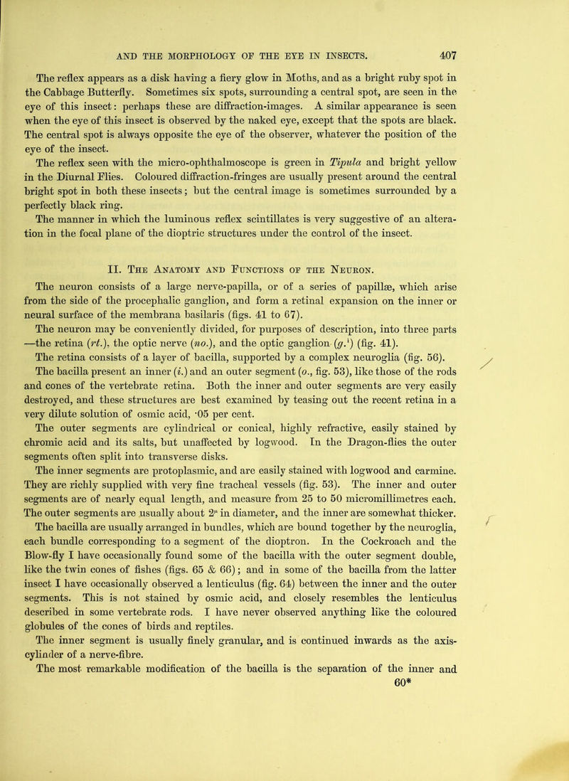 The reflex appears as a disk having a fiery glow in Moths, and as a bright ruby spot in the Cabbage Butterfly. Sometimes six spots, surrounding a central spot, are seen in the eye of this insect: perhaps these are diffraction-images. A similar appearance is seen when the eye of this insect is observed by the naked eye, except that the spots are black. The central spot is always opposite the eye of the observer, whatever the position of the eye of the insect. The reflex seen with the micro-ophthalmoscope is green in Tipula and bright yellow in the Diurnal Flies. Coloured diffraction-fringes are usually present around the central bright spot in both these insects; but the central image is sometimes surrounded by a perfectly black ring. The manner in which the luminous reflex scintillates is very suggestive of an altera- tion in the focal plane of the dioptric structures under the control of the insect. II. The Anatomy and Functions oe the Neuron. The neuron consists of a large nerve-papilla, or of a series of papillae, which arise from the side of the procephalic ganglion, and form a retinal expansion on the inner or neural surface of the membrana basilaris (figs. 41 to 67). The neuron may be conveniently divided, for purposes of description, into three parts —the retina (rt.), the optic nerve (no.), and the optic ganglion (g.1) (fig. 41). The retina consists of a layer of bacilla, supported by a complex neuroglia (fig. 56). The bacilla present an inner (i.) and an outer segment (o., fig. 53), like those of the rods and cones of the vertebrate retina. Both the inner and outer segments are very easily destroyed, and these structures are best examined by teasing out the recent retina in a very dilute solution of osmic acid, ‘05 per cent. The outer segments are cylindrical or conical, highly refractive, easily stained by chromic acid and its salts, but unaffected by logwood. In the Dragon-flies the outer segments often split into transverse disks. The inner segments are protoplasmic, and are easily stained with logwood and carmine. They are richly supplied with very fine tracheal vessels (fig. 53). The inner and outer segments are of nearly equal length, and measure from 25 to 50 micromillimetres each. The outer segments are usually about 2^ in diameter, and the inner are somewhat thicker. The bacilla are usually arranged in bundles, which are bound together by the neuroglia, each bundle corresponding to a segment of the dioptron. In the Cockroach and the Blow-fly I have occasionally found some of the bacilla with the outer segment double, like the twin cones of fishes (figs. 65 & 66); and in some of the bacilla from the latter insect I have occasionally observed a lenticulus (fig. 64) between the inner and the outer segments. This is not stained by osmic acid, and closely resembles the lenticulus described in some vertebrate rods. I have never observed anything like the coloured globules of the cones of birds and reptiles. The inner segment is usually finely granular, and is continued inwards as the axis- cylinder of a nerve-fibre. The most remarkable modification of the bacilla is the separation of the inner and 60*