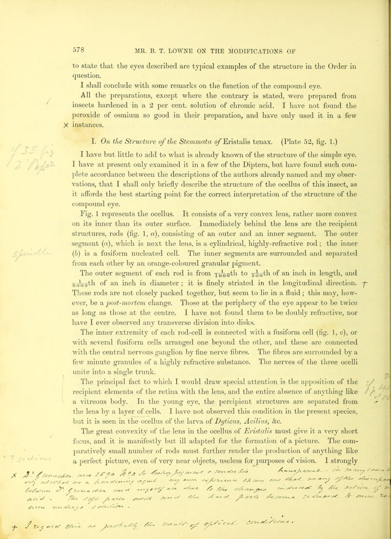 to state that the eyes described are typical examples of the structure in the Order in question. I shall conclude with some remarks on the function of the compound eye. All the preparations, except where the contrary is stated, were prepared from insects hardened in a 2 per cent, solution of chromic acid. I have not found the peroxide of osmium so good in their preparation, and have only used it in a few X instances^ I. On the Structure of the Stemmata of Eristalis tenax. (Plate 52, fig. 1.) I have but little to add to what is already known of the structure of the simple eye. ^ j-'f. I have at present only examined it in a few of the Diptera, but have found such com- plete accordance between the descriptions of the authors already named and my obser- vations, that I shall only briefly describe the structure of the ocellus of this insect, as it affords the best starting point for the correct interpretation of the structure of the compound eye. Fig. 1 represents the ocellus. It consists of a very convex lens, rather more convex on its inner than its outer surface. Immediately behind the lens are the recipient structures, rods (fig. I, a), consisting of an outer and an inner segment. The outer segment (a), which is next the lens, is a cylindrical, highly-refractive rod; the inner (b) is a fusiform nucleated cell. The inner segments are surrounded and separated from each other by an orange-coloured granular pigment. The outer segment of each rod is from y^g-th to g-jjgth of an inch in length, and Am) ()th of an inch in diameter ; it is finely striated in the longitudinal direction. These rods are not closely packed together, but seem to lie in a fluid ; this may, how- ever, be a post-mortem change. Those at the periphery of the eye appear to be twice as long as those at the centre. I have not found them to be doubly refractive, nor have I ever observed any transverse division into disks. The inner extremity of each'rod-cell is connected with a fusiform cell (fig. 1, c), or with several fusiform cells arranged one beyond the other, and these are connected with the central nervous ganglion by fine nerve fibres. The fibres are surrounded by a few minute granules of a highly refractive substance. The nerves of the three ocelli unite into a single trunk. The principal fact to which I would draw special attention is the apposition of the recipient elements of the retina with the lens, and the entire absence of anything like a vitreous body. In the young eye, the percipient structures are separated from the lens by a layer of cells. I have not observed this condition in the present species, but it is seen in the ocellus of the larva of Dyticus, Acilius, &c. The great convexity of the lens in the ocellus of Eristalis must give it a very short focus, and it is manifestly but ill adapted for the formation of a picture. The com- paratively small number of rods must further render the production of anything like a perfect picture, even of very near objects, useless for purposes of vision. I strongly ate* . ■J * /