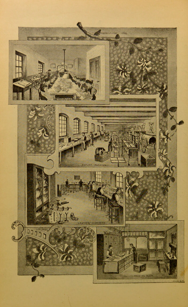 No text description is available for this image