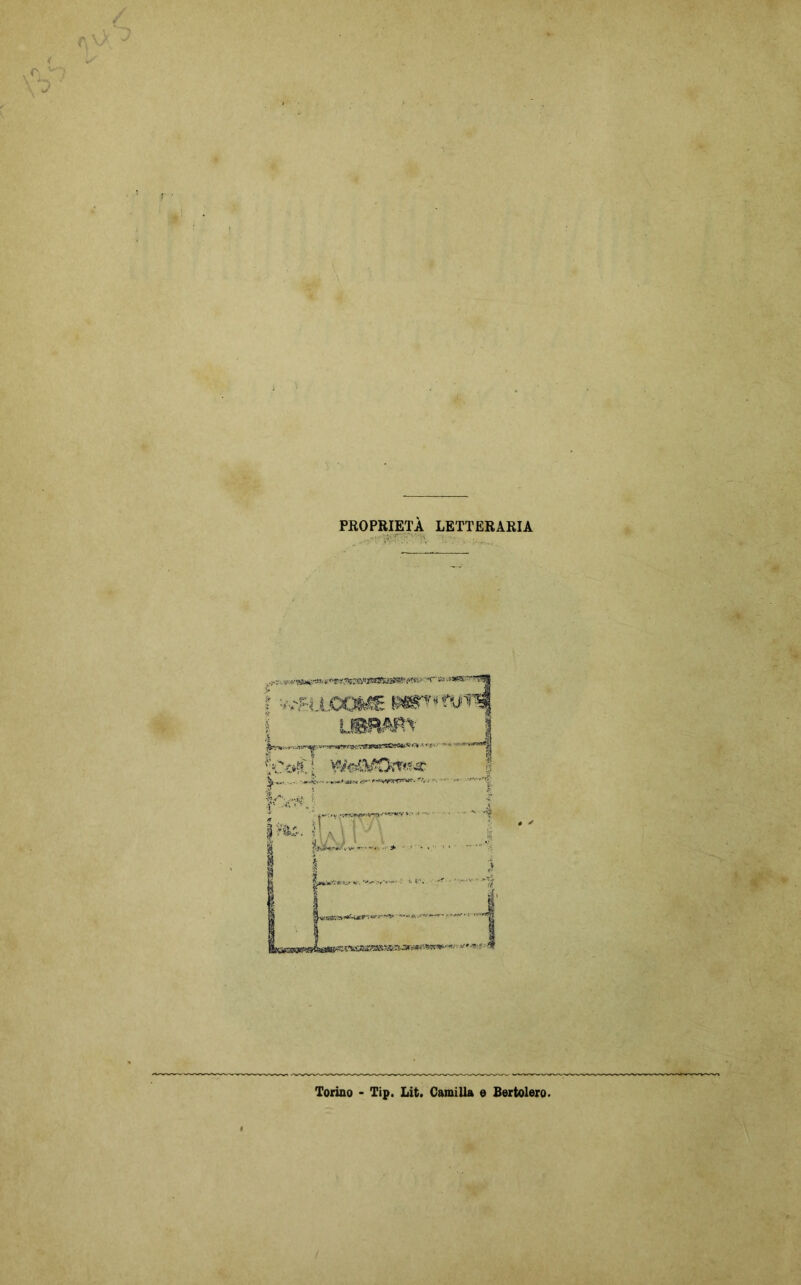 r • ■ PROPRIETÀ LETTERARIA Torino - Tip. Lit. Camilla e Bertolero.