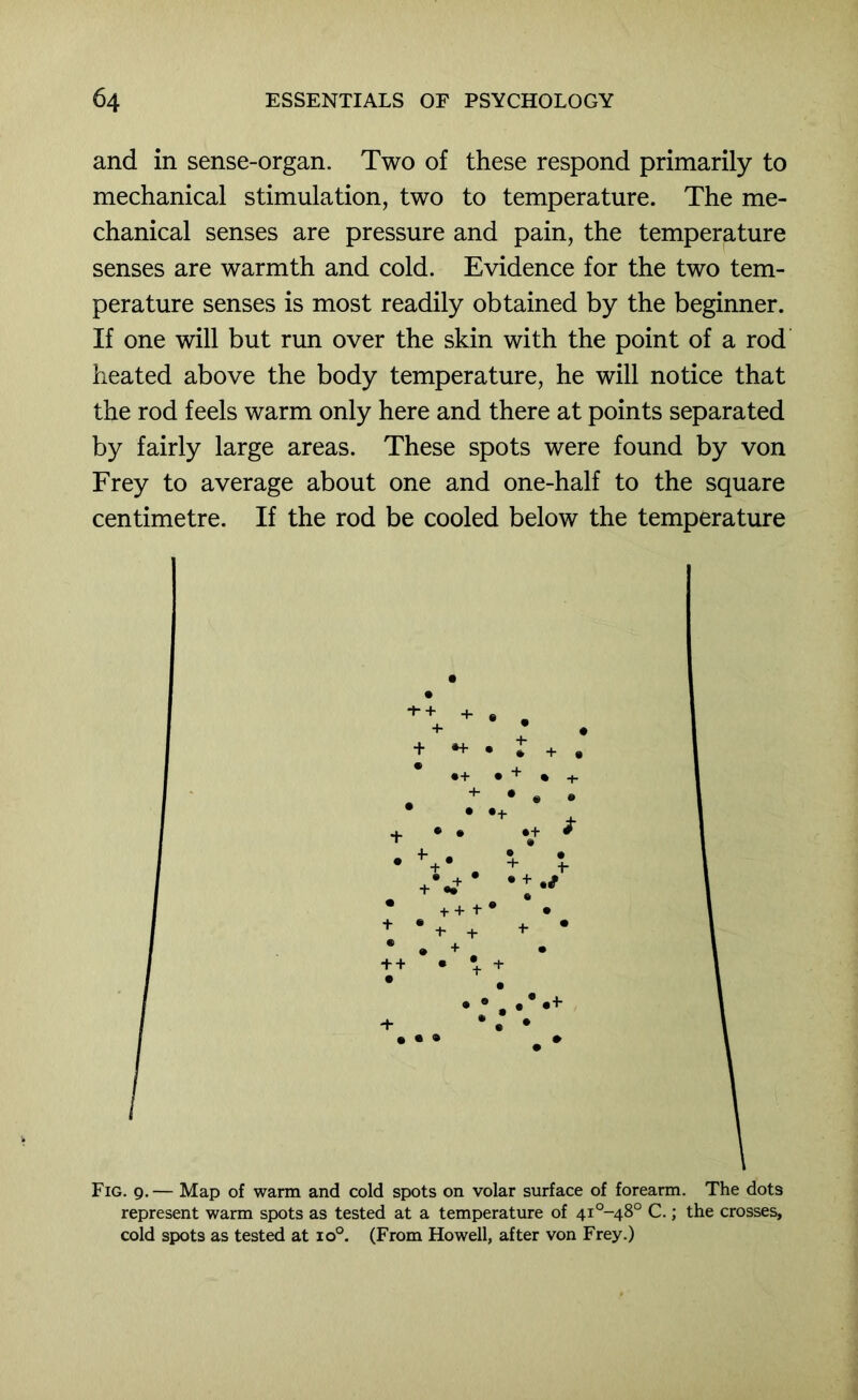 and in sense-organ. Two of these respond primarily to mechanical stimulation, two to temperature. The me- chanical senses are pressure and pain, the temperature senses are warmth and cold. Evidence for the two tem- perature senses is most readily obtained by the beginner. If one will but run over the skin with the point of a rod heated above the body temperature, he will notice that the rod feels warm only here and there at points separated by fairly large areas. These spots were found by von Frey to average about one and one-half to the square centimetre. If the rod be cooled below the temperature Fig. 9.— Map of warm and cold spots on volar surface of forearm. The dots represent warm spots as tested at a temperature of 4i°-48° C.; the crosses, cold spots as tested at 10°. (From Howell, after von Frey.)
