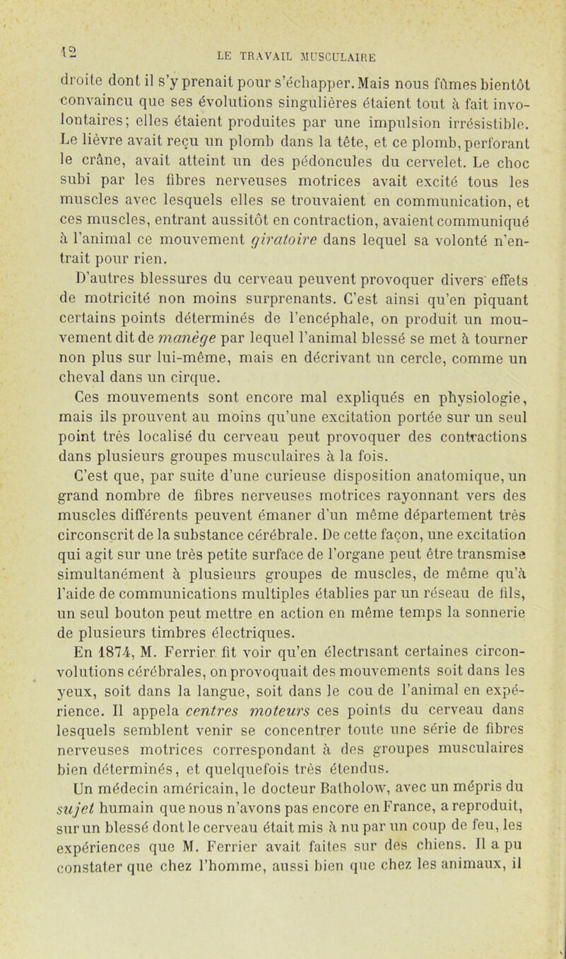 droite dont il s’y prenait pour s’échapper. Mais nous fûmes bientôt convaincu que ses évolutions singulières étaient tout à fait invo- lontaires; elles étaient produites par une impulsion irrésistible. Le lièvre avait reçu un plomb dans la tête, et ce plomb, perforant le crâne, avait atteint un des pédoncules du cervelet. Le choc subi par les fibres nerveuses motrices avait excité tous les muscles avec lesquels elles se trouvaient en communication, et ces muscles, entrant aussitôt en contraction, avaient communiqué â l’animal ce mouvement giratoire dans lequel sa volonté n’en- trait pour rien. D’autres blessures du cerveau peuvent provoquer divers effets de motricité non moins surprenants. C’est ainsi qu’en piquant certains points déterminés de l’encéphale, on produit un mou- vement dit de manège par lequel l’animal blessé se met à tourner non plus sur lui-même, mais en décrivant un cercle, comme un cheval dans un cirque. Ces mouvements sont encore mal expliqués en physiologie, mais ils prouvent au moins qu’une excitation portée sur un seul point très localisé du cerveau peut provoquer des contractions dans plusieurs groupes musculaires à la fois. C’est que, par suite d’une curieuse disposition anatomique, un grand nombre de fibres nerveuses motrices rayonnant vers des muscles différents peuvent émaner d’un même département très circonscrit de la substance cérébrale. De cette façon, une excitation qui agit sur une très petite surface de l’organe peut être transmise simultanément à plusieurs groupes de muscles, de même qu’â l’aide de communications multiples établies par un réseau de fils, un seul bouton peut mettre en action en même temps la sonnerie de plusieurs timbres électriques. En 1874, M. Ferrier. fit voir qu’en électrisant certaines circon- volutions cérébrales, on provoquait des mouvements soit dans les yeux, soit dans la langue, soit dans le cou de l’animal en expé- rience. Il appela centres moteurs ces points du cerveau dans lesquels semblent venir se concentrer toute une série de fibres nerveuses motrices correspondant à des groupes musculaires bien déterminés, et quelquefois très étendus. Un médecin américain, le docteur Batholow, avec un mépris du sujet humain que nous n’avons pas encore en France, a reproduit, sur un blessé dont le cerveau était mis à nu par un coup de feu, les expériences que M. Ferrier avait faites sur des chiens. Il a pu constater que chez l’homme, aussi bien que chez les animaux, il