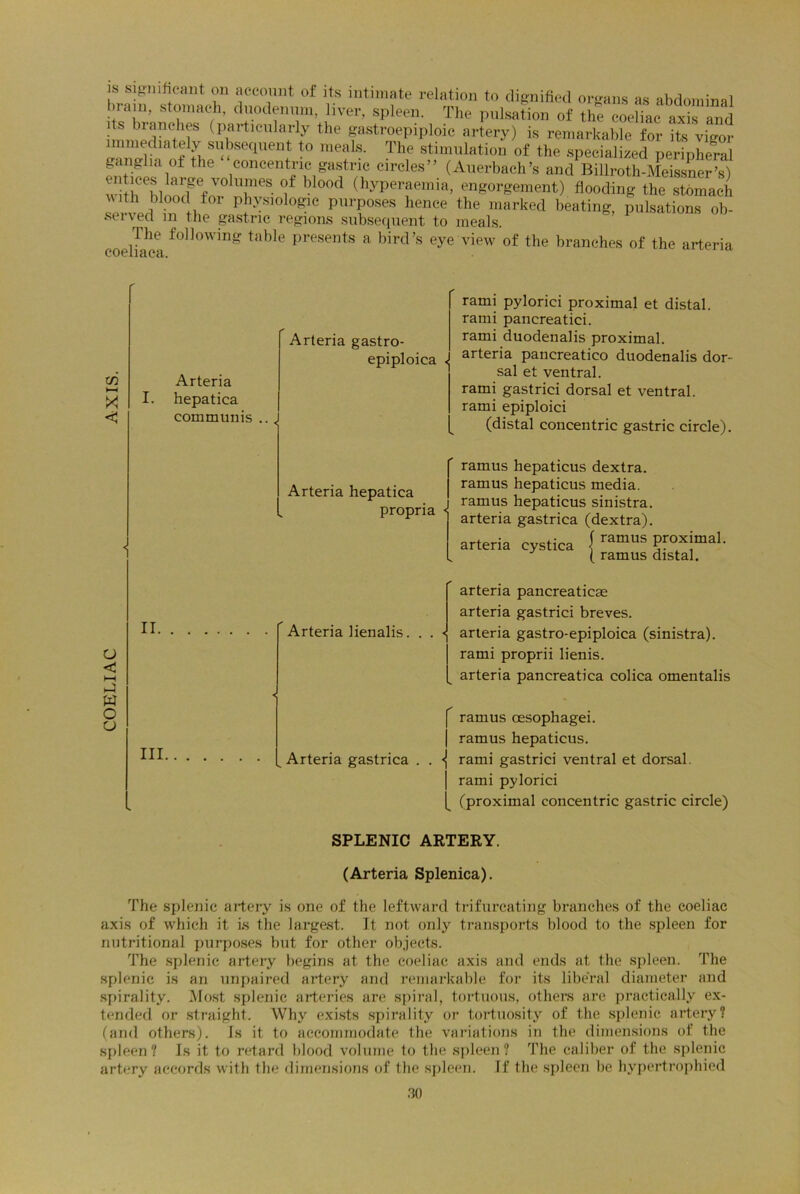 !S s!?lllhcailt jn account of its intimate relation to dignified organs as abdominal hi am, stomach, duodenum, liver, spleen. The pulsation of the coeliac axis and immediftef (partlCllk.rly the gastroepiploic artery) is remarkable for its vigor immediately subsequent to meals. The stimulation of the specialized peripheral ganglia of the concentric gastric circles” (Auerbach’s and BillrothAleissner’s) hebl^0lTeS f ■l00d (hyperfmia’ enoreinent) flooding the stomach with blood f01 physiologic purposes hence the marked beating, pulsations ob- served in the gastric regions subsequent to meals. coelhca following table presents a bird’s eye view of the branches of the arteria cn X < Arteria gastro- epiploica < Arteria I. hepatica communis .. J * rami pylorici proximal et distal, rami pancreatici. rami duodenalis proximal, arteria pancreatico duodenalis dor- sal et ventral. rami gastrici dorsal et ventral, rami epiploici (distal concentric gastric circle). II U < i—i A W O o III. Arteria hepatica propria ramus hepaticus dextra. ramus hepaticus media. ! ramus hepaticus sinistra, arteria gastrica (dextra). arteria cystica ( ramus proximal. L ( ramus distal. Arteria lienalis. Arteria gastrica arteria pancreaticse arteria gastrici breves. . ^ arteria gastro-epiploica (sinistra), rami proprii lienis. _ arteria pancreatica colica omentalis f ramus oesophagei. | ramus hepaticus. . <{ rami gastrici ventral et dorsal. | rami pylorici [ (proximal concentric gastric circle) SPLENIC ARTERY. (Arteria Splenica). The splenic artery is one of the leftward trifurcating branches of the coeliac axis of which it is the largest. It not only transports blood to the spleen for nutritional purposes but for other objects. The splenic artery begins at the coeliac axis and ends at the spleen. The splenic is an unpaired artery and remarkable for its liberal diameter and spirality. Most splenic arteries are spiral, tortuous, others are practically ex- tended or straight. Why exists spirality or tortuosity of the splenic artery? (and others). Is it to accommodate the variations in the dimensions of the spleen ? Is it to retard blood volume to the spleen? The caliber of the splenic artery accords with the dimensions of the spleen. If the spleen be hypertrophied