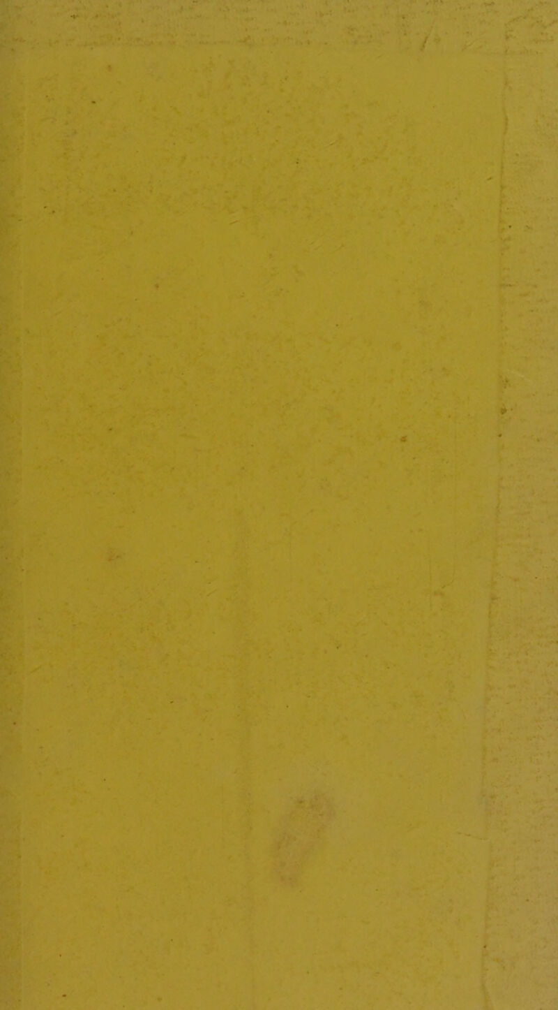 / »