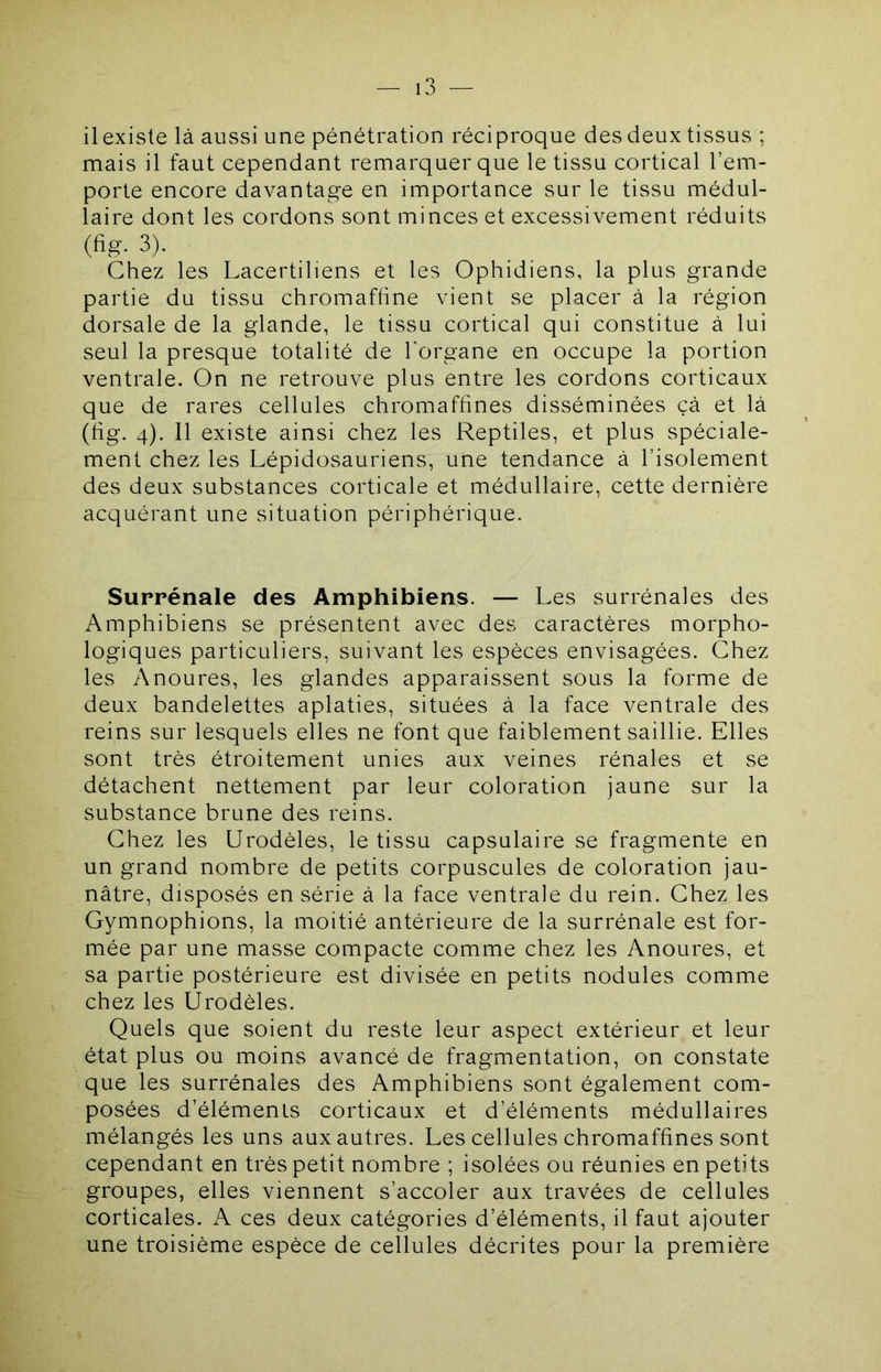 il existe là aussi une pénétration réciproque des deux tissus ; mais il faut cependant remarquer que le tissu cortical l’em- porte encore davantage en importance sur le tissu médul- laire dont les cordons sont minces et excessivement réduits (fig. 3). Chez les Lacertiliens et les Ophidiens, la plus grande partie du tissu chromafhne vient se placer à la région dorsale de la glande, le tissu cortical qui constitue à lui seul la presque totalité de l’organe en occupe la portion ventrale. On ne retrouve plus entre les cordons corticaux que de rares cellules chromaffines disséminées çà et là (fig. 4). 11 existe ainsi chez les Reptiles, et plus spéciale- ment chez les Lépidosauriens, une tendance à l’isolement des deux substances corticale et médullaire, cette dernière acquérant une situation périphérique. Surrénale des Amphibiens. — Les surrénales des Amphibiens se présentent avec des caractères morpho- logiques particuliers, suivant les espèces envisagées. Chez les Anoures, les glandes apparaissent sous la forme de deux bandelettes aplaties, situées à la face ventrale des reins sur lesquels elles ne font que faiblement saillie. Elles sont très étroitement unies aux veines rénales et se détachent nettement par leur coloration jaune sur la substance brune des reins. Chez les Urodèles, le tissu capsulaire se fragmente en un grand nombre de petits corpuscules de coloration jau- nâtre, disposés en série à la face ventrale du rein. Chez les Gymnophions, la moitié antérieure de la surrénale est for- mée par une masse compacte comme chez les Anoures, et sa partie postérieure est divisée en petits nodules comme chez les Urodèles. Quels que soient du reste leur aspect extérieur et leur état plus ou moins avancé de fragmentation, on constate que les surrénales des Amphibiens sont également com- posées d’éléments corticaux et d’éléments médullaires mélangés les uns aux autres. Les cellules chromaffines sont cependant en très petit nombre ; isolées ou réunies en petits groupes, elles viennent s’accoler aux travées de cellules corticales. A ces deux catégories d’éléments, il faut ajouter une troisième espèce de cellules décrites pour la première