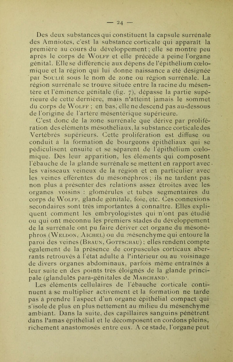 Des deux substances qui constituent la capsule surrénale des Amniotes, c’est la substance corticale qui apparaît la première au cours du développement ; elle se montre peu après le corps de Wolff et elle précède à peine l’organe génital. Elle se différencie aux dépens de l’épithélium cœlo- mique et la région qui lui donne naissance a été désignée par Soulié sous le nom de zone ou région surrénale. La région surrénale se trouve située entre la racine du mésen- tère et l’éminence génitale (fig. 7), dépasse la partie supé- rieure de cette dernière, mais n’atteint jamais le sommet du corps de Wolff ; en bas,' elle ne descend pas au-dessous de l’origine de l’artère mésentérique supérieure. C’est donc de la zone surrénale que dérive par prolifé- ration des éléments mésothéliaux, la substance corticaledes Vertébrés supérieurs. Cette prolifération est diffuse ou conduit à la formation de bourgeons épithéliaux qui se pédiculisent ensuite et se séparent de l’épithélium cœlo- mique. Dès leur apparition, les éléments qui composent l’ébauche de la glande surrénale se mettent en rapport avec- les vaisseaux veineux de la région et en particulier avec les veines efférentes du mésonéphros; ils ne tardent pas- non plus à présenter des relations assez étroites avec les- organes voisins : glomérules et tubes segmentaires du corps de Wolff, glande génitale, foie, etc. Ces connexions secondaires sont très importantes à connaître. Elles expli- quent comment les embryologistes qui n’ont pas étudié ou qui ont méconnu les premiers stades du développement de la surrénale ont pu faire dériver cet organe du mésoné- phros (Weldon, Aichel) ou du, mésenchyme qui entoure la paroi des veines (Braun, Gottschau) ; elles rendent compte également de la présence de corpuscules corticaux aber- rants retrouvés à l’état adulte à l’intérieur ou au voisinage de divers organes abdominaux, parfois même entraînés à leur suite en des points très éloignés de la glande princi- pale (glandulès para-génitales de IVIarchandl Les éléments cellulaires de l’ébauche corticale conti- nuent à se multiplier activement et la formation ne tarde pas à prendre l’aspect d’un organe épithélial compact qui s’isole de plus en plus nettement au milieu du mésenchyme ambiant. Dans la suite, des capillaires sanguins pénètrent dans l’amas épithélial et le décomposent en cordons pleins,, richement anastomosés entre eux. A ce stade, l’organe peut