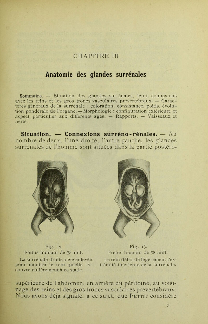 CHAPITRE III Anatomie des glandes surrénales Sommaire. — Situation des glandes surrénales, leurs connexions avec les reins et les gros troncs vasculaires prévertébraux. — Carac- tères généraux de la surrénale : coloration, consistance, poids, évolu- tion pondérale de l’organe. — Morphologie : configuration extérieure et aspect particulier aux différents âges. — Rapports. — Vaisseaux et nerfs. Situation. — Connexions surréno-rénales. — Au nombre de deux, l’une droite, l’autre gauche, les glandes surrénales de l’homme sont situées dans la partie postéro- Fig. 12. Fœtus humain de 35mill. La surrénale droite a été enlevée pour montrer le rein qu’elle re- couvre entièrement à ce stade. Fig. 13. Fœtus humain de 38 mill. Le rein déborde légèrement l’ex- trémité inférieure de la surrénale. supérieure de l’abdomen, en arrière du péritoine, au voisi- nage des reins et des gros troncs vasculaires prévertébraux. Nous avons déjà signalé, à ce sujet, que Pettit considère 3