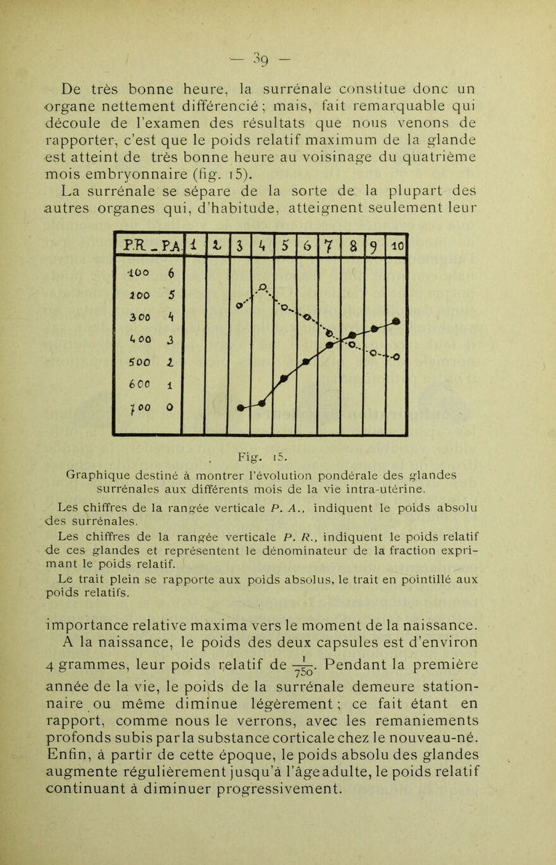 De très bonne heure, la surrénale constitue donc un organe nettement différencié; mais, fait remarquable qui découle de l’examen des résultats que nous venons de rapporter, c’est que le poids relatif maximum de la glande est atteint de très bonne heure au voisinage du quatrième mois embryonnaire (fig. i5). La surrénale se sépare de la sorte de la plupart des autres organes qui, d’habitude, atteignent seulement leur P.R. - i s k S 6 7 S 9 10 lüo 6 100 5 3 00 h ^.00 3 ?oo l 600 1 100 0 o' P, V ( •O Fig. i5. Graphique destiné à montrer l’évolution pondérale des glandes surrénales aux différents mois de la vie intra-utérine. Les chiffres de la rangée verticale P. A., indiquent le poids absolu des surrénales. Les chiffres de la rangée verticale P. R., indiquent le poids relatif de ces glandes et représentent le dénominateur de la fraction expri- mant le poids relatif. Le trait plein se rapporte aux poids absolus, le trait en pointillé aux poids relatifs. importance relative maxima vers le moment de la naissance. A la naissance, le poids des deux capsules est d’environ 4 grammes, leur poids i;elatif de Pendant la première année de la vie, le poids de la surrénale demeure station- naire ou même diminue légèrement; ce fait étant en rapport, comme nous le verrons, avec les remaniements profonds subis parla substance corticale chez le nouveau-né. Enfin, à partir de cette époque, le poids absolu des glandes augmente régulièrement jusqu’à l’âgeadulte, le poids relatif continuant à diminuer progressivement.