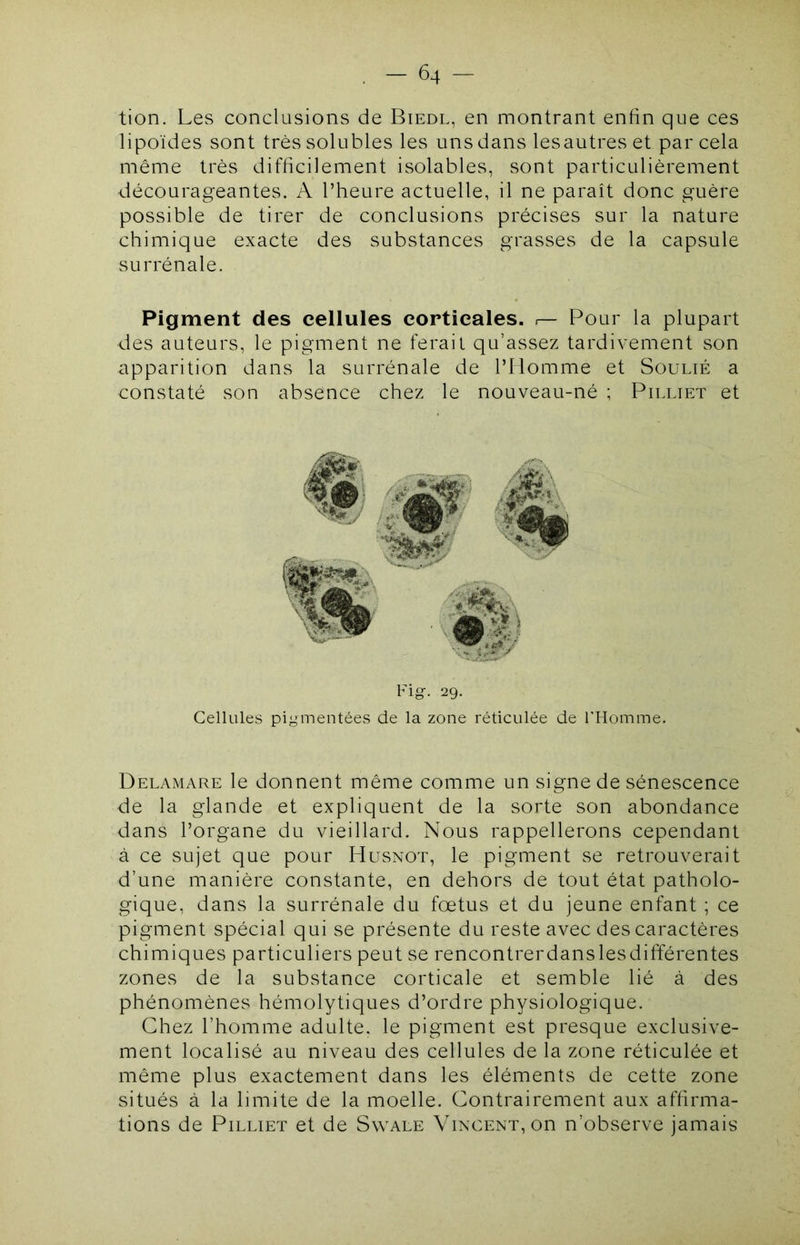 tion. Les conclusions de Biedl, en montrant enfin que ces lipoïdes sont très solubles les uns dans lesautreset par cela même très difficilement isolables, sont particulièrement décourageantes. A l’heure actuelle, il ne paraît donc guère possible de tirer de conclusions précises sur la nature chimique exacte des substances grasses de la capsule surrénale. Pigment des cellules corticales. Pour la plupart des auteurs, le pigment ne ferait qu’assez tardivement son apparition dans la surrénale de l’Homme et Soulié a constaté son absence chez le nouveau-né ; Pilliet et Fig-. 29. Cellules pigmentées de la zone réticulée de l’Homme. Delamare le donnent même comme un signe de sénescence de la glande et expliquent de la sorte son abondance dans l’organe du vieillard. Nous rappellerons cependant à ce sujet que pour Husnot, le pigment se retrouverait d’une manière constante, en dehors de tout état patholo- gique, dans la surrénale du fœtus et du jeune enfant ; ce pigment spécial qui se présente du reste avec des caractères chimiques particuliers peut se rencontrerdanslesdifférentes zones de la substance corticale et semble lié à des phénomènes hémolytiques d’ordre physiologique. Chez l’homme adulte, le pigment est presque exclusive- ment localisé au niveau des cellules de la zone réticulée et même plus exactement dans les éléments de cette zone situés à la limite de la moelle. Contrairement aux affirma- tions de Pilliet et de Swale Vincent, on n’observe jamais