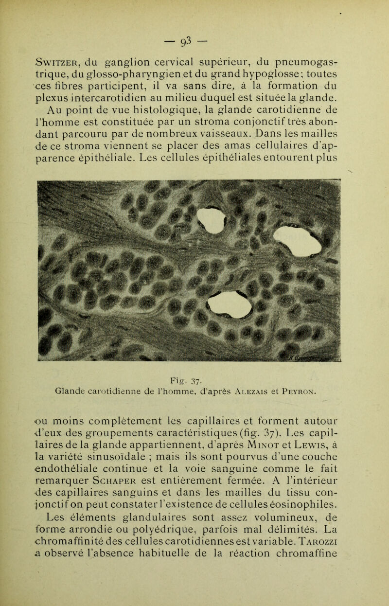 SwiTZER, du ganglion cervical supérieur, du pneumogas- trique, du glosso-pharyngien et du grand hypoglosse; toutes ces libres participent, il va sans dire, à la formation du plexus intercarotidien au milieu duquel est située la glande. Au point de vue histologique, la glande carotidienne de l’homme est constituée par un stroma conjonctif très abon- dant parcouru par de nombreux vaisseaux. Dans les mailles de ce stroma viennent se placer des amas cellulaires d’ap- parence épithéliale. Les cellules épithéliales entourent plus Fig- 37- Glande carotidienne de l’homme, d’après Alezais et Peyron. OU moins complètement les capillaires et forment autour d’eux des groupements caractéristiques (fig. 87). Les capil- laires de la glande appartiennent, d’après Minot et Lewis, à la variété sinusoïdale ; mais ils sont pourvus d’une couche endothéliale continue et la voie sanguine comme le fait remarquer Schaper est entièrement fermée. A l’intérieur des capillaires sanguins et dans les mailles du tissu con- jonctif on peut constater l’existence de cellules éosinophiles. Les éléments glandulaires sont assez volumineux, de forme arrondie ou polyédrique, parfois mal délimités. La chromafhnité des cellules carotidiennes est variable. Tarozzi a observé l’absence habituelle de la réaction chromaffine