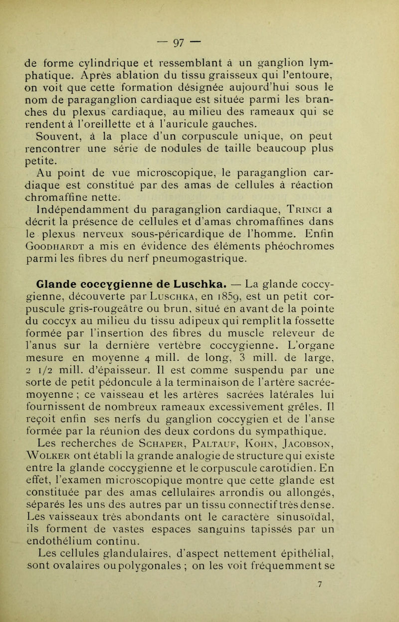 de forme cylindrique et ressemblant à un ganglion lym- phatique. Après ablation du tissu graisseux qui l’entoure, on voit que cette formation désignée aujourd’hui sous le nom de paraganglion cardiaque est située parmi les bran- ches du plexus cardiaque, au milieu des rameaux qui se rendent à l’oreillette et à l’auricule gauches. Souvent, à la place d’un corpuscule unique, on peut rencontrer une série de nodules de taille beaucoup plus petite. Au point de vue microscopique, le paraganglion car- diaque est constitué par des amas de cellules à réaction chromaffine nette. Indépendamment du paraganglion cardiaque, Tringi a décrit la présence de cellules et d’amas chromaffines dans le plexus nerveux sous-péricardique de l’homme. Enfin Goodhardt a mis en évidence des éléments phéochromes parmi les fibres du nerf pneumogastrique. Glande eoccYgienne de Luschka. — La glande coccy- gienne, découverte par Luschka, en iSSq, est un petit cor- puscule gris-rougeâtre ou brun, situé en avant de la pointe du coccyx au milieu du tissu adipeux qui remplit la fossette formée par l’insertion des fibres du muscle releveur de l’anus sur la dernière vertèbre coccygienne. L’organe mesure en moyenne 4 mill. de long, 3 mill. de large, 2 1/2 mill. d’épaisseur. Il est comme suspendu par une sorte de petit pédoncule à la terminaison de l’artère sacrée- moyenne ; ce vaisseau et les artères sacrées latérales lui fournissent de nombreux rameaux excessivement grêles. Il reçoit enfin ses nerfs du ganglion coccygien et de l’anse formée par la réunion des deux cordons du sympathique. Les recherches de Schaper, Paltauf, Kohn, Jacobson, WoLKER ont établi la grande analogie de structure qui existe entre la glande coccygienne et le corpuscule carotidien. En effet, l’examen microscopique montre que cette glande est constituée par des amas cellulaires arrondis ou allongés, séparés les uns des autres par un tissu connectif très dense. Les vaisseaux très abondants ont le caractère sinusoïdal, ils forment de vastes espaces sanguins tapissés par un endothélium continu. Les cellules glandulaires, d’aspect nettement épithélial, sont ovalaires ou polygonales ; on les voit fréquemment se 7