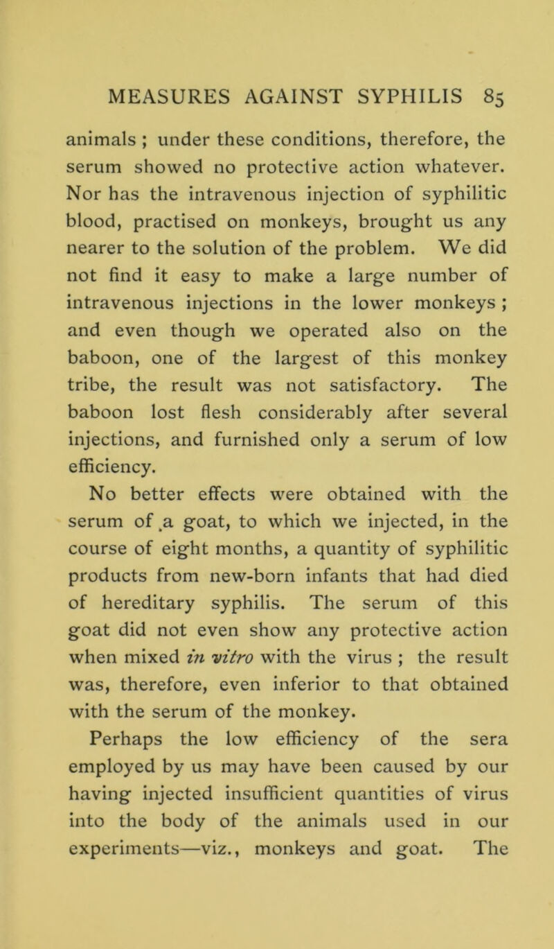 animals ; under these conditions, therefore, the serum showed no protective action whatever. Nor has the intravenous injection of syphilitic blood, practised on monkeys, brought us any nearer to the solution of the problem. We did not find it easy to make a large number of intravenous injections in the lower monkeys ; and even though we operated also on the baboon, one of the largest of this monkey tribe, the result was not satisfactory. The baboon lost flesh considerably after several injections, and furnished only a serum of low efficiency. No better effects were obtained with the serum of.a goat, to which we injected, in the course of eight months, a quantity of syphilitic products from new-born infants that had died of hereditary syphilis. The serum of this goat did not even show any protective action when mixed in vitro with the virus ; the result was, therefore, even inferior to that obtained with the serum of the monkey. Perhaps the low efficiency of the sera employed by us may have been caused by our having injected insufficient quantities of virus into the body of the animals used in our experiments—viz., monkeys and goat. The