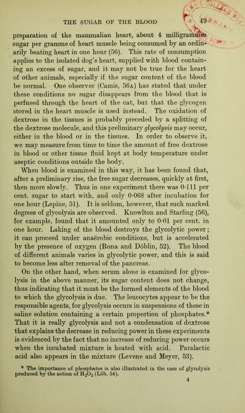 preparation of the mammalian heart, about 4 milligrams^ sugar per gramme of heart muscle being consumed by an ordin- arily beating heart in one hour (56). This rate of consumption applies to the isolated dog’s heart, supplied with blood contain- ing an excess of sugar, and it may not be true for the heart of other animals, especially if the sugar content of the blood be normal. One observer (Camis, 56a) has stated that under these conditions no sugar disappears from the blood that is perfused through the heart of the cat, but that the glycogen stored in the heart muscle is used instead. The oxidation of dextrose in the tissues is probably preceded by a splitting of the dextrose molecule, and this preliminary glycolysis may occur, either in the blood or in the tissues. In order to observe it, we may measure from time to time the amount of free dextrose in blood or other tissue fluid kept at body temperature under aseptic conditions outside the body. When blood is examined in this way, it has been found that, after a preliminary rise, the free sugar decreases, quickly at first, then more slowly. Thus in one experiment there was 0*111 per cent, sugar to start with, and only 0*068 after incubation for one hour (Lepine, 51). It is seldom, however, that such marked degrees of glycolysis are observed. Knowlton and Starling (56), for example, found that it amounted only to 0*01 per cent, in one hour. Laking of the blood destroys the glycolytic power; it can proceed under anaerobic conditions, but is accelerated by the presence of oxygen (Rona and Doblin, 52). The blood of different animals varies in glycolytic power, and this is said to become less after removal of the pancreas. On the other hand, when serum alone is examined for glyco- lysis in the above manner, its sugar content does not change, thus indicating that it must be the formed elements of the blood to which the glycolysis is due. The leucocytes appear to be the responsible agents, for glycolysis occurs in suspensions of these in saline solution containing a certain proportion of phosphates.* That it is really glycolysis and not a condensation of dextrose that explains the decrease in reducing power in these experiments is evidenced by the fact that no increase of reducing power occurs when the incubated mixture is heated with acid. Paralactic acid also appears in the mixture (Levene and Meyer, 53). * The importance of phosphates is also illustrated in the case of glycolysis produced by the action of H202 (Lob, 54).