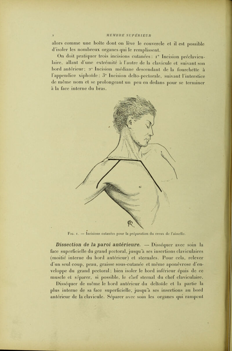 alors comme une boîte dont on lève le couvercle et il est possible d’isoler les nombreux organes qui le remplissent. On doit pratiquer trois incisions cutanées: i° Incision préclavicu- laire, allant d une extrémité a 1 autre de la clavicule et suivant son bord antérieur; 2U Incision médiane descendant de la fourchette à l’appendice xiphoïdc ; 3° Incision delto-peclorale, suivant l’interstice de même nom et se prolongeant un peu en dedans pour se terminer à la face interne du bras. Incisions culanées pour la préparation du creux de l’aisselle. Fig. i. — Dissection de la paroi antérieure. — Disséquer avec soin la face superficielle du grand pectoral, jusqu’à ses insertions claviculaires (moitié interne du bord antérieur) et sternales. Pour cela, relever d’un seul coup, peau, graisse sous-cutanée et même aponévrose d’en- veloppe du grand pectoral; bien isoler le bord inférieur épais de ce muscle et séparer, si possible, le chef sternal du chef claviculaire. Disséquer de même le bord antérieur du deltoïde et la partie la plus interne de sa face superficielle, jusqu'à ses insertions au bord antérieur de la clavicule. Séparer avec soin les organes qui rampent