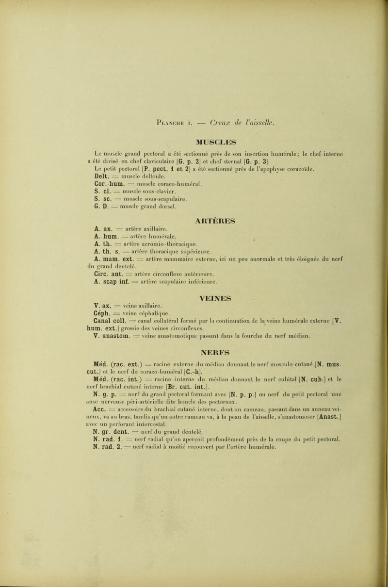 Planche i. — Creux de l’aisselle. MUSCLES Le muscle grand pectoral a été sectionné près de son insertion humérale; le chef interne a été divisé en chef claviculaire (G. p. 2| et chef sternal [G. p. 3]. Le petit pectoral [P. pect. 1 et 2] a été sectionné près de l’apophyse coracoïde. Delt. = muscle deltoïde. Cor.-hum. = muscle coraco-huméral. S. cl. = muscle sous-clavier. S. SC. — muscle sous-scapulaire. G. D. = muscle grand dorsal. ARTÈRES A. ax. = artère axillaire. A. hum. = artère humérale. A. th. = artère acromio-thoracique. A. th. s. = artère thoracique supérieure. A. mam. ext. = artère mammaire externe, ici un peu anormale et très éloignée du nerf du grand dentelé. Cire. ant. = artère circonllexe antérieure. A. SCap inf. = artère scapulaire inférieure. VEINES V. ax. = veine axillaire. Céph. = veine céphalique. Canal COll. = canal collatéral formé par la continuation de la veine humérale externe [V. hum. ext.] grossie des veines circonflexes. V. anastom. = veine anastomotique passant dans la fourche du nerf médian. NERFS Méd. (rac. ext.) = racine externe du médian donnant le nerf musculo-culané [N. mus. eut.] et le nerf du coraco-huméral [C.-h]. Méd. (rac. int.) = racine interne du médian donnant le nerf cubital [N. Cub.] et le nerf brachial cutané interne [Br. eut. int.]. N. q. p. = nerf du grand pectoral formant avec |N. p. p.] ou nerf du petit pectoral une anse nerveuse péri-avtérielle dite boucle des pectoraux. Acc. = accessoire du brachial cutané interne, dont un rameau, passant dans un anneau vei- neux, va au bras, tandis qu’un autre rameau va, à la peau de l'aisselle, s’anastomoser [Anast.] avec un perforant intercostal. N. gr. dent. = nerf du grand dentelé. N. rad. 1. = nerf radial qu’on aperçoit profondément près de la coupe du petit pectoral.