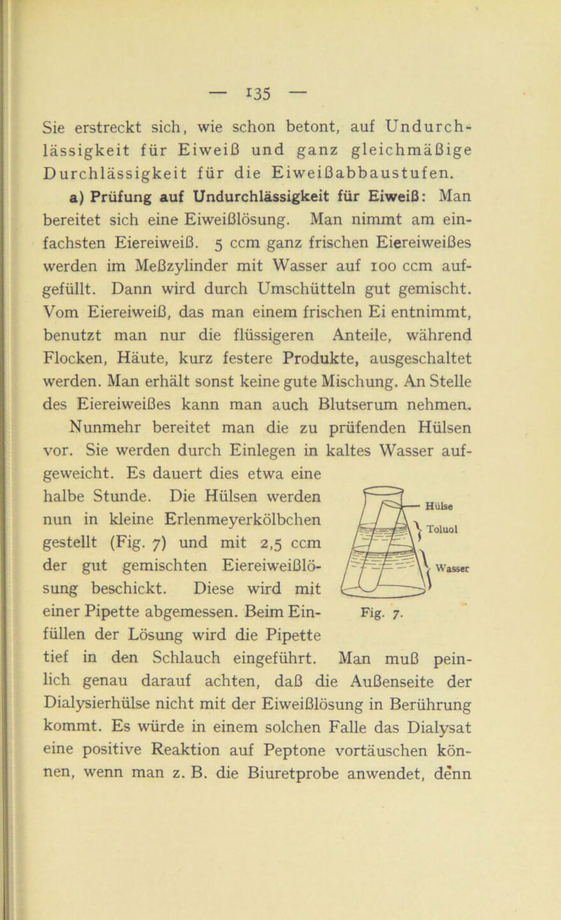 Sie erstreckt sich, wie schon betont, auf Undurch*- lässigkeit für Eiweiß und ganz gleichmäßige Durchlässigkeit für die Eiweißabbaustufen. a) Prüfung auf Undurchlässigkeit für Eiweiß: Man bereitet sich eine Eiweißlösung. Man nimmt am ein- fachsten Eiereiweiß. 5 ccm ganz frischen Eiereiweißes werden im Meßzylinder mit Wasser auf 100 ccm auf- gefüllt. Dann wird durch Umschütteln gut gemischt. Vom Eiereiweiß, das man einem frischen Ei entnimmt, benutzt man nur die flüssigeren Anteile, während Flocken, Häute, kurz festere Produkte, ausgeschaltet werden. Man erhält sonst keine gute Mischung. An Stelle des Eiereiweißes kann man auch Blutserum nehmen. Nunmehr bereitet man die zu prüfenden Hülsen vor. Sie werden durch Einlegen in kaltes Wasser auf- geweicht. Es dauert dies etwa eine halbe Stunde. Die Hülsen werden nun in kleine Erlenmeyerkölbchen gestellt (Fig. 7) und mit 2,5 ccm der gut gemischten Eiereiweißlö- sung beschickt. Diese wird mit einer Pipette abgemessen. Beim Ein- füllen der Lösung wird die Pipette tief in den Schlauch eingeführt. Man muß pein- lich genau darauf achten, daß die Außenseite der Dialysierhülse nicht mit der Eiweißlösung in Berührung kommt. Es würde in einem solchen Falle das Dialysat eine positive Reaktion auf Peptone Vortäuschen kön- nen, wenn man z. B. die Biuretprobe anwendet, denn