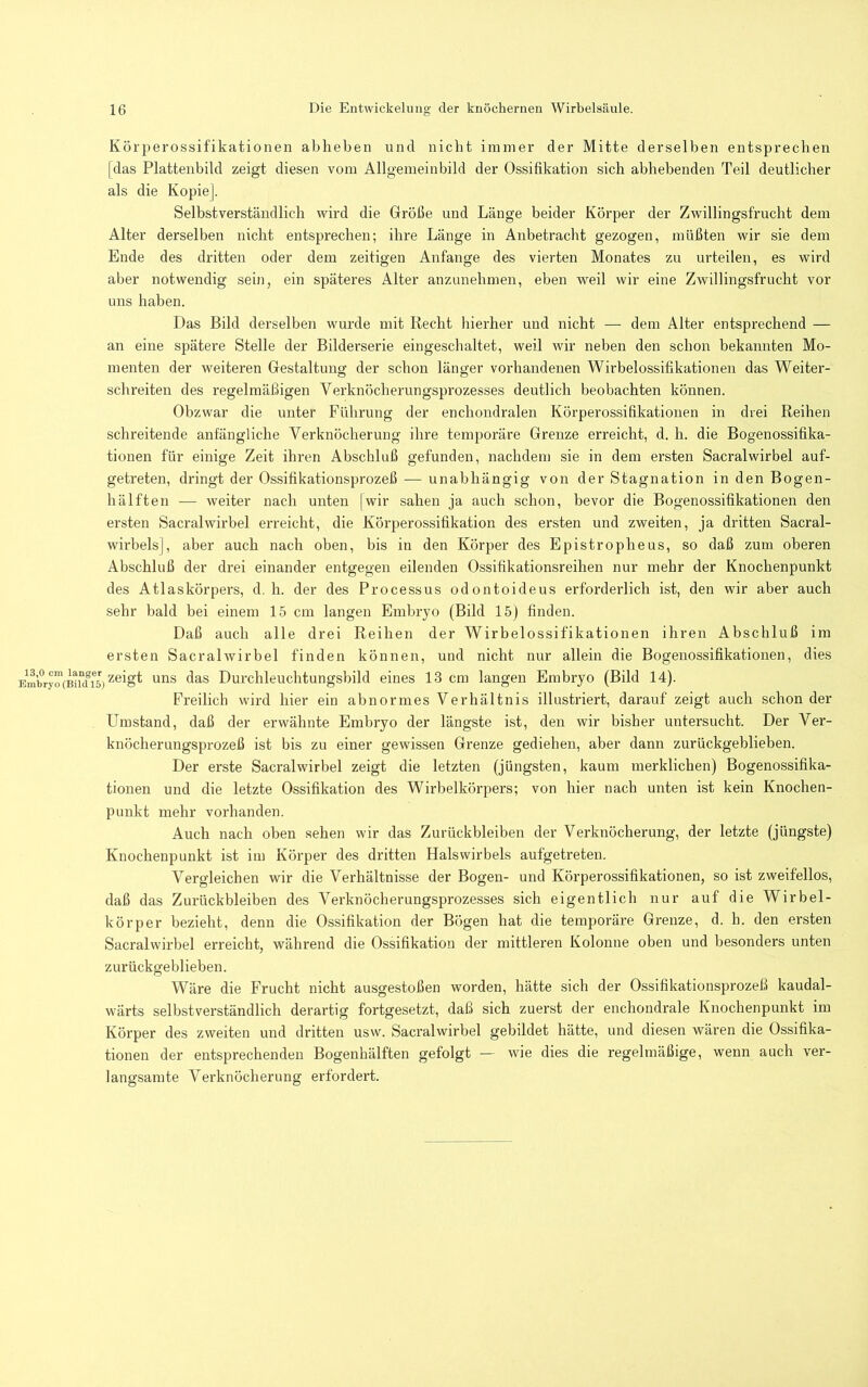 Körperossifikationen ablieben und nicht immer der Mitte derselben entsprechen (das Plattenbild zeigt diesen vom Allgemeinbild der Ossifikation sich abhebenden Teil deutlicher als die Kopie], Selbstverständlich wird die Größe und Länge beider Körper der Zwillingsfrucht dem Alter derselben nicht entsprechen; ihre Länge in Anbetracht gezogen, müßten wir sie dem Ende des dritten oder dem zeitigen Anfänge des vierten Monates zu urteilen, es wird aber notwendig sein, ein späteres Alter anzunehmen, eben weil wir eine Zwillingsfrucht vor uns haben. Das Bild derselben wurde mit Recht hierher und nicht — dem Alter entsprechend — an eine spätere Stelle der Bilderserie eingeschaltet, weil wir neben den schon bekannten Mo- menten der weiteren Gestaltung der schon länger vorhandenen Wirbelossifikationen das Weiter- schreiten des regelmäßigen Verknöcherungsprozesses deutlich beobachten können. Obzwar die unter Führung der enchondralen Körperossifikationen in drei Reihen schreitende anfängliche Verknöcherung ihre temporäre Grenze erreicht, d. h. die Bogenossifika- tionen für einige Zeit ihren Abschluß gefunden, nachdem sie in dem ersten Sacralwirbel auf- getreten, dringt der Ossifikationsprozeß — unabhängig von der Stagnation in den Bogen- hälften — weiter nach unten [wir sahen ja auch schon, bevor die Bogenossifikationen den ersten Sacralwirbel erreicht, die Körperossifikation des ersten und zweiten, ja dritten Sacral- wirbels], aber auch nach oben, bis in den Körper des Epistropheus, so daß zum oberen Abschluß der drei einander entgegen eilenden Ossitikationsreihen nur mehr der Knochenpunkt des Atlaskörpers, d. h. der des Processus odontoideus erforderlich ist, den wir aber auch sehr bald bei einem 15 cm langen Embryo (Bild 15) finden. Daß auch alle drei Reihen der Wirbelossifikationen ihren Abschluß im ersten Sacralwirbel finden können, und nicht nur allein die Bogenossifikationen, dies En^bryö'fmuus) uns das Durchleuchtungsbild eines 13 cm langen Embryo (Bild 14). Freilich wird hier ein abnormes Verhältnis illustriert, darauf zeigt auch schon der Umstand, daß der erwähnte Embryo der längste ist, den wir bisher untersucht. Der Ver- knöcherungsprozeß ist bis zu einer gewissen Grenze gediehen, aber dann zurückgeblieben. Der erste Sacralwirbel zeigt die letzten (jüngsten, kaum merklichen) Bogenossifika- tionen und die letzte Ossifikation des Wirbelkörpers; von hier nach unten ist kein Knochen- punkt mehr vorhanden. Auch nach oben sehen wir das Zurückbleiben der Verknöcherung, der letzte (jüngste) Knochenpunkt ist im Körper des dritten Halswirbels aufgetreten. Vergleichen wir die Verhältnisse der Bogen- und Körperossifikationen, so ist zweifellos, daß das Zurückbleiben des Verknöcherungsprozesses sich eigentlich nur auf die Wirbel- körper bezieht, denn die Ossifikation der Bögen hat die temporäre Grenze, d. h. den ersten Sacralwirbel erreicht, während die Ossifikation der mittleren Kolonne oben und besonders unten zurückgeblieben. Wäre die Frucht nicht ausgestoßen worden, hätte sich der Ossifikationsprozeß kaudal- wärts selbstverständlich derartig fortgesetzt, daß sich zuerst der enchondrale Knochenpunkt im Körper des zweiten und dritten usw. Sacralwirbel gebildet hätte, und diesen wären die Ossifika- tionen der entsprechenden Bogenhälften gefolgt — wie dies die regelmäßige, wenn auch ver- langsamte Verknöcherung erfordert.