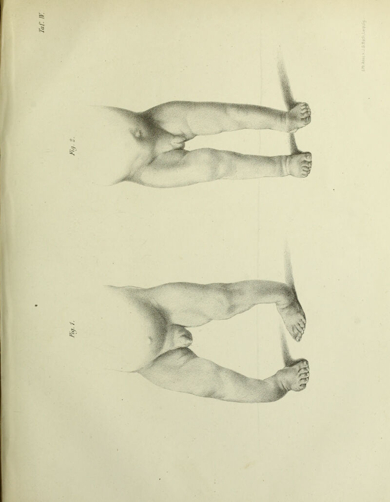 Lift.Änsc.v. J.O.Bacfi,Leipzig .