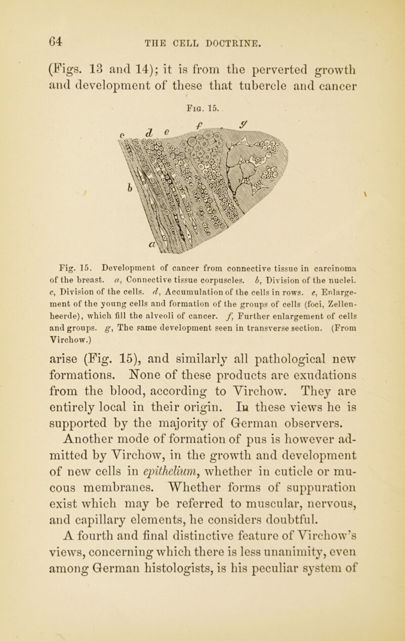 (Figs. 13 and 14); it is from the perverted growth and development of these that tubercle and cancer # Fig. 15. Fig. 15. Development of cancer from connective tissue in carcinoma of the breast, a, Connective tissue corpuscles, b, Division of the nuclei. c, Division of the cells, d, Accumulation of the cells in rows, e, Enlarge- ment of the young cells and formation of the groups of cells (foci, Zellen- heerde), which fill the alveoli of cancer, f Further enlargement of cells and groups, g, The same development seen in transverse section. (From Virchow.) arise (Fig. 15), and similarly all pathological new formations. None of these products are exudations from the blood, according to Virchow. They are entirely local in their origin. In these views he is supported by the majority of German observers. Another mode of formation of pus is however ad- mitted by Virchow, in the growth and development of new cells in epithelium, whether in cuticle or mu- cous membranes. Whether forms of suppuration exist which may be referred to muscular, nervous, and capillary elements, he considers doubtful. A fourth and final distinctive feature of Virchow’s views, concerning which there is less unanimity, even among German histologists, is his peculiar system of