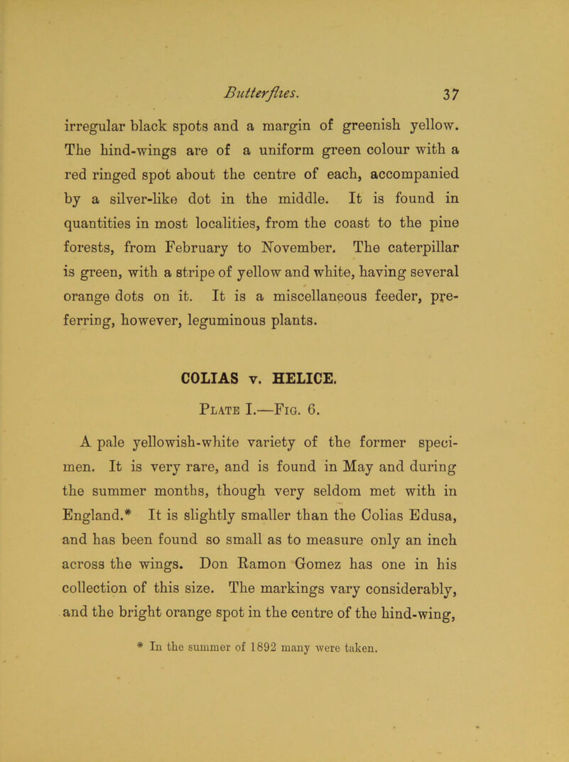 irregular black spots and a margin of greenish yellow. The hind-wings are of a uniform green colour with a red ringed spot about the centre of each, accompanied by a silver-like dot in the middle. It is found in quantities in most localities, from the coast to the pine forests, from February to November. The caterpillar is green, with a stripe of yellow and white, having several * • orange dots on it. It is a miscellaneous feeder, pre- ferring, however, leguminous plants. COLIAS v. HELICE. Plate I.—Fig. 6. A pale yellowish-white variety of the former speci- men. It is very rare, and is found in May and during the summer months, though very seldom met with in England.* It is slightly smaller than the Colias Edusa, and has been found so small as to measure only an inch across the wings. Don Ramon Gomez has one in his collection of this size. The markings vary considerably, and the bright orange spot in the centre of the hind-wing, * In the summer of 1892 many were taken.