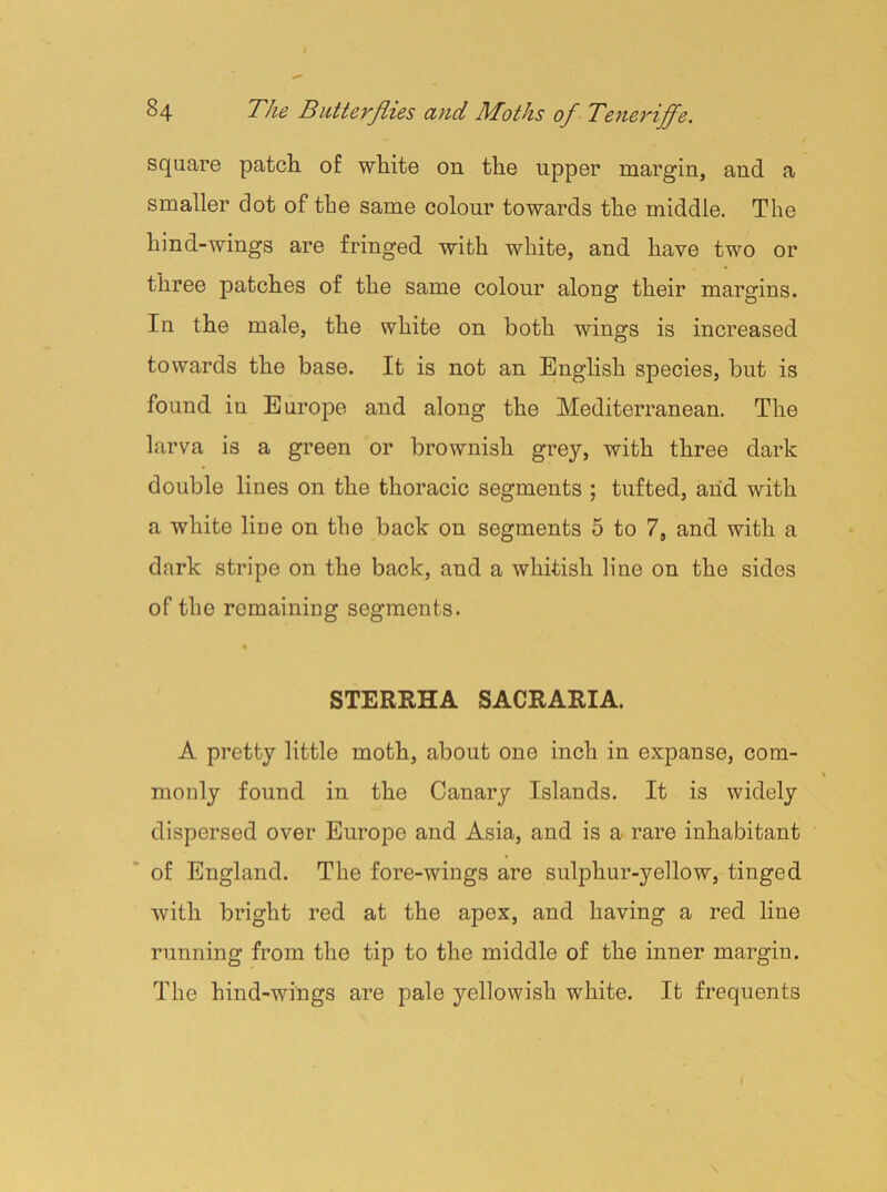 square patch of white on the upper margin, and a smaller dot of the same colour towards the middle. The hind-wings are fringed with white, and have two or three patches of the same colour along their margins. In the male, the white on both wings is increased towards the base. It is not an English species, but is found in Europe and along the Mediterranean. The larva is a green or brownish grey, with three dark double lines on the thoracic segments ; tufted, and with a white liue on the back on segments 5 to 7, and with a dark stripe on the back, and a whitish line on the sides of the remaining segments. % STERRHA SACRARIA. A pretty little moth, about one inch in expanse, com- monly found in the Canary Islands. It is widely dispersed over Europe and Asia, and is a rare inhabitant of England. The fore-wings are sulphur-yellow, tinged with bright red at the apex, and having a red line running from the tip to the middle of the inner margin. The hind-wings are pale yellowish white. It frequents