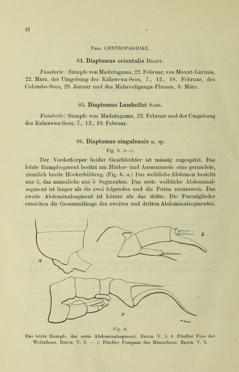 Farn. CENTROPAGIDAE. 84. Diaptomus orientalis Brady. Fundorte : Sümpfe von Madatugama, 22. Februar, von Mount-Lavinia, 22. März, der Umgebung des Kalawewa-Sees, 7., 12., 18. Februar, des Colombo-Sees, 29. Januar und des Mahaveliganga-Flusses, 8. März. 85. Diaptomus Lumholtzi Sars. Fundorte: Sümpfe von Madatugama, 22. Februar und der Umgebung des Kalawewa-Sees, 7., 12., 18. Februar. 86. Diaptomus singalensis n. sp. Fig. 6. a—c. Der Yorderkörper beider Geschlechter ist mässig zugespitzt. Das letzte Rumpfsegment besitzt am Hinter- und Aussenrande eine gerundete, ziemlich breite Höckerbildung. (Fig. 6. a.) Das weibliche Abdomen besteht aus 8, das männliche aus 5 Segmenten. Das erste weibliche Abdominal- segment ist länger als die zwei folgenden und die Furca zusammen. Das zweite Abdominalsegment ist kürzer als das dritte. Die Furcalglieder erreichen die Gesammtlänge des zweiten und dritten Abdominalsegmentes. Fig. <j. Das letzte Rumpf-, das erste Abdominalsegment. Reich. V. 3. h. Fünfter Fuss des Weibchens. Reich. V. 5. — c. Fünfter Fusspaar des Männchens. Reich. V. 5.
