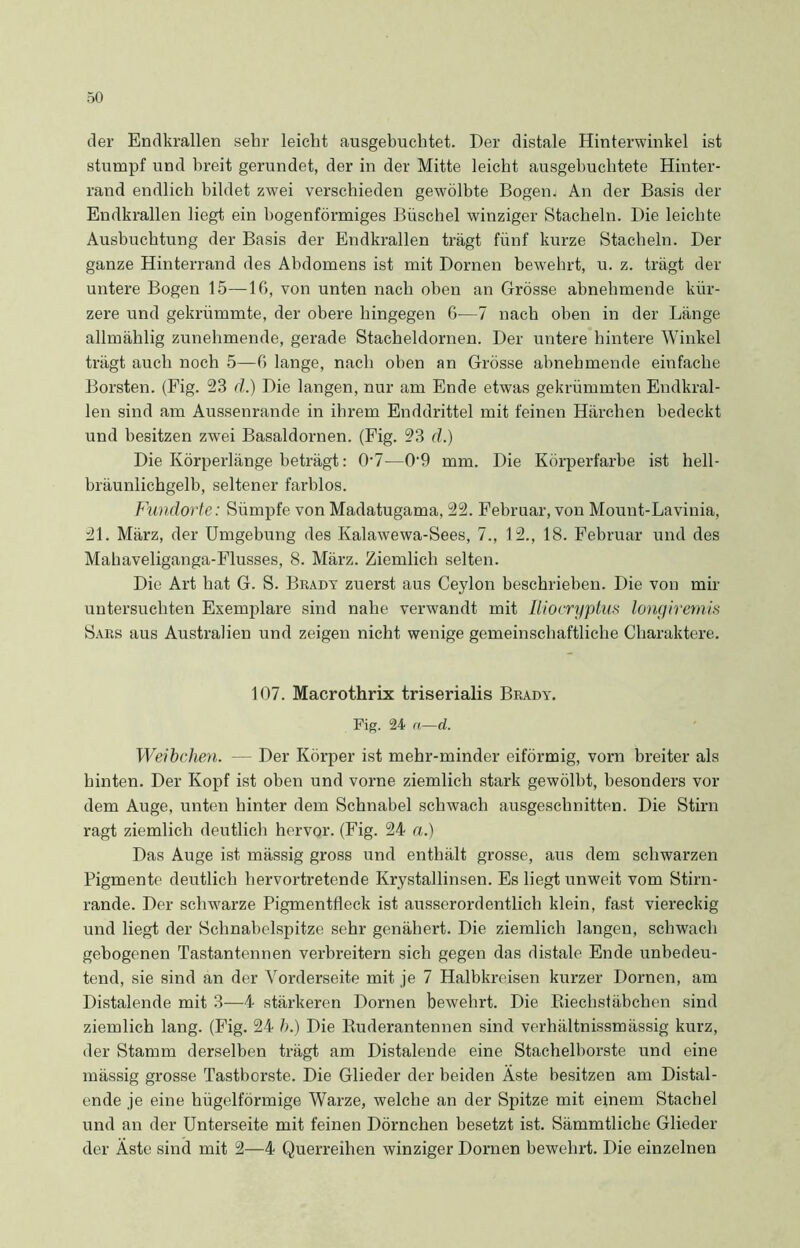 der Endkrallen sehr leicht ausgebuchtet. Der distale Hinterwinkel ist stumpf und breit gerundet, der in der Mitte leicht ausgebuchtete Hinter- rand endlich bildet zwei verschieden gewölbte Bogen. An der Basis der Endkrallen liegt ein bogenförmiges Büschel winziger Stacheln. Die leichte Ausbuchtung der Basis der Endkrallen trägt fünf kurze Stacheln. Der ganze Hinterrand des Abdomens ist mit Dornen bewehrt, u. z. trägt der untere Bogen 15—16, von unten nach oben an Grosse abnehmende kür- zere und gekrümmte, der obere hingegen 6—7 nach oben in der Länge allmählig zunehmende, gerade Stacheldornen. Der untere hintere Winkel trägt auch noch 5—6 lange, nach oben an Grösse abnehmende einfache Borsten. (Fig. 23 d.) Die langen, nur am Ende etwas gekrümmten Endkral- len sind am Aussenrande in ihrem Enddrittel mit feinen Härchen bedeckt und besitzen zwei Basaldornen. (Fig. 23 d.) Die Körperlänge beträgt: 07—09 mm. Die Körperfarbe ist hell- bräunlichgelb, seltener farblos. Fundorte: Sümpfe von Madatugama, 22. Februar, von Mount-Lavinia, 21. März, der Umgebung des Kalawewa-Sees, 7., 12., 18. Februar und des Mahaveliganga-Flusses, 8. März. Ziemlich selten. Die Art hat G. S. Brady zuerst aus Ceylon beschrieben. Die von mir untersuchten Exemplare sind nahe verwandt mit Iliocryptus longiremis Saks aus Australien und zeigen nicht wenige gemeinschaftliche Charaktere. 107. Macrothrix triserialis Brady. Fig. 24 n—d. Weibchen. — Der Körper ist mehr-minder eiförmig, vorn breiter als hinten. Der Kopf ist oben und vorne ziemlich stark gewölbt, besonders vor dem Auge, unten hinter dem Schnabel schwach ausgeschnitten. Die Stirn ragt ziemlich deutlich hervor. (Fig. 24 a.) Das Auge ist mässig gross und enthält grosse, aus dem schwarzen Pigmente deutlich hervortretende Krystallinsen. Es liegt unweit vom Stirn- rande. Der schwarze Pigmentfleck ist ausserordentlich klein, fast viereckig und liegt der Schnabelspitze sehr genähert. Die ziemlich langen, schwach gebogenen Tastantennen verbreitern sich gegen das distale Ende unbedeu- tend, sie sind an der Vorderseite mit je 7 Halbkreisen kurzer Dornen, am Distalende mit 3—4 stärkeren Dornen bewehrt. Die Riechstäbchen sind ziemlich lang. (Fig. 24 b.) Die Ruderantennen sind verhältnissmässig kurz, der Stamm derselben trägt am Distalende eine Stachelborste und eine mässig grosse Tastborste. Die Glieder der beiden Äste besitzen am Distal- ende je eine hügelförmige Warze, welche an der Spitze mit einem Stachel und an der Unterseite mit feinen Dörnchen besetzt ist. Sämmtliche Glieder der Äste sind mit 2—4 Querreihen winziger Dornen bewehrt. Die einzelnen
