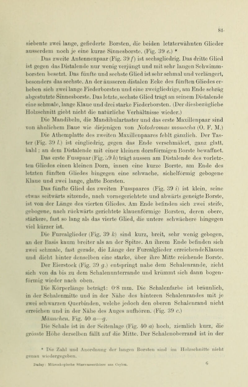 siebente zwei lange, gefiederte Horsten, die beiden letzterwähnten Glieder ausserdem noch je eine kurze Sinnesborste. (Fig. 39 e.) * Das zweite Antennenpaar (Fig. 39 /’) ist sechsgliedrig. Das dritte Glied ist gegen das Distalende nur wenig verjüngt und mit sehr langen Schwimm- horsten besetzt. Das fünfte und sechste Glied ist sehr schmal und verlängert, besonders das sechste. An der äusseren distalen Ecke des fünften Gliedes er- heben sich zwei lange Fiederborsten und eine zweigliedrige, am Ende schräg abg« stutzte Sinnesborste. Das letzte,sechste Glied trägt an seinem Distalende eine schmale, lange Klaue und drei starke Fiederborsten. (Der diesbezügliche Holzschnitt giebt nicht die natürliche Verhältnisse wieder.) Die Mandibeln, die Mandibulartasterund das erste Maxillenpaar sind von ähnlichem Haue wie diejenigen von Notodromas monacha (0. F. M.) Die Athemplatte des zweiten Maxillenpaares fehlt gänzlich. Der Tas- ter i Fig. 39 /.) ist eingliedrig, gegen das Ende verschmälert, ganz glatt, kahl : an dem Distalende mit einer kleinen dornförmigen Borste bewaffnet. Das erste Fusspaar (Fig. 39 h) trägt aussen am Distalende des vorletz- ten Gliedes einen kleinen Dorn, innen eine kurze Borste, am Ende des letzten fünften Gliedes bingegen eine schwache, sichelförmig gebogene Klaue und zwei lange, glatte Borsten. Das fünfte Glied des zweiten Fusspaares (Fig. 39 i) ist klein, seine etwas seitwärts sitzende, nach vornegerichtete und abwärts geneigte Borste, ist von der Länge des vierten Gliedes. Am Ende befinden sich zwei steife, gebogene, nach rückwärts gerichtete klauenförmige Borsten, deren obere, stärkere, fast so lang als das vierte Glied, die untere schwächere hingegen viel kürzer ist. Die Furcalglieder (Fig. 39 />:) sind kurz, breit, sehr wenig gebogen, an der Basis kaum breiter als an der Spitze. An ihrem Ende befinden sich zwei schmale, fast gerade, die Länge der Furcalglieder erreichendeKlauen und dicht hinter denselben eine starke, über ihre Mitte reichende Borste. Der Eierstock (Fig. 39 g.) entspringt nahe dem Schalenrande, zieht sich von da Dis zu dem Schalenunterrande und krümmt sich dann bogen- förmig wieder nach oben. Die Körperlänge beträgt: 0-S mm. Die Schalenfarbe ist bräunlich, in der Schalenmitte und in der Nähe des hinteren Schalenrandes mit je zwei schwarzen Querbinden, welche jedoch den oberen Schalenrand nicht erreichen und in der Nähe des Auges aufhören. (Fig. 39 c.) Mnnnrhen. Fig. 40 a—g. Die Schale ist in der Seitenlage (Fig. 40 a) hoch, ziemlich kurz, die grösste Höhe derselben fällt auf die Mitte. Der Schalenoberrand ist in der • I>io Zahl und Anordnung der langen Borsten sind im Holzschnitte nicht Koimu wiedergegoben. Mikrmknpinfhe HftOTwa**ertliierc au* Ceylon. ^