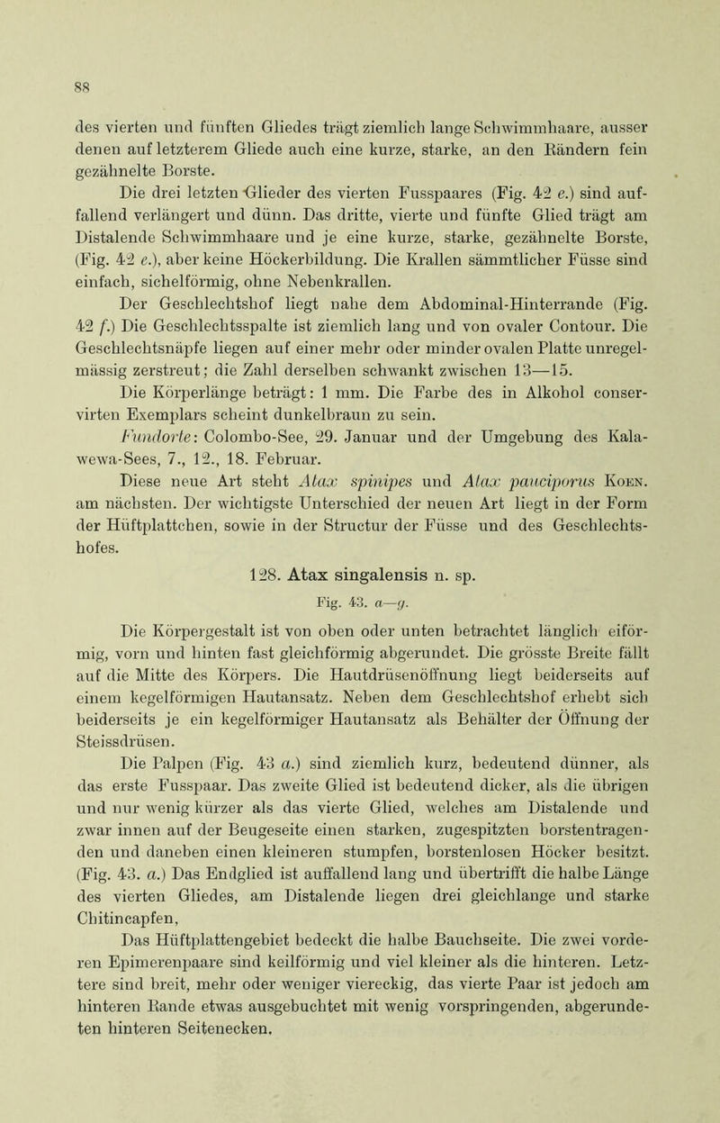 des vierten und fünften Gliedes trägt ziemlich lange Schwimmhaare, ausser denen auf letzterem Gliede auch eine kurze, starke, an den Rändern fein gezähnelte Borste. Die drei letzten Grlieder des vierten Fusspaares (Fig. 42 e.) sind auf- fallend verlängert und dünn. Das dritte, vierte und fünfte Glied trägt am Distalende Scliwimmhaare und je eine kurze, starke, gezähnelte Borste, (Fig. 42 e.), aber keine Höckerbildung. Die Krallen sämmtlicher Füsse sind einfach, sichelförmig, ohne Nebenkrallen. Der Geschlechtshof liegt nahe dem Abdominal-Hinterrande (Fig. 42 f.) Die Geschlechtsspalte ist ziemlich lang und von ovaler Contour. Die Geschlechtsnäpfe liegen auf einer mehr oder minder ovalen Platte unregel- mässig zerstreut; die Zahl derselben schwankt zwischen 13—15. Die Körperlänge beträgt: 1 mm. Die Farbe des in Alkohol conser- virten Exemplars scheint dunkelbraun zu sein. Fundorte: Colombo-See, 29. Januar und der Umgebung des Kala- wewa-Sees, 7., 12., 18. Februar. Diese neue Art steht Atax spinipes und Atax pauciporus Koen. am nächsten. Der wichtigste Unterschied der neuen Art liegt in der Form der Hüftplattchen, sowie in der Structur der Füsse und des Geschlechts- hofes. 128. Atax singalensis n. sp. Fig. 43. a—g. Die Körpergestalt ist von oben oder unten betrachtet länglich eiför- mig, vorn und hinten fast gleichförmig abgerundet. Die grösste Breite fällt auf die Mitte des Körpers. Die Hautdrüsenöffnung hegt beiderseits auf einem kegelförmigen Hautansatz. Neben dem Geschlechtshof erhebt sieb beiderseits je ein kegelförmiger Hautansatz als Behälter der Öffnung der Steissdrüsen. Die Palpen (Fig. 43 a.) sind ziemlich kurz, bedeutend dünner, als das erste Fusspaar. Das zweite Glied ist bedeutend dicker, als die übrigen und nur wenig kürzer als das vierte Glied, welches am Distalende und zwar innen auf der Beugeseite einen starken, zugespitzten borstentragen- den und daneben einen kleineren stumpfen, borstenlosen Höcker besitzt. (Fig. 43. a.) Das Endglied ist auffallend lang und übertrifft die halbe Länge des vierten Gliedes, am Distalende hegen drei gleichlange und starke Chitincapfen, Das Hüftplattengebiet bedeckt die halbe Bauchseite. Die zwei vorde- ren Epimerenpaare sind keilförmig und viel kleiner als die hinteren. Letz- tere sind breit, mehr oder weniger viereckig, das vierte Paar ist jedoch am hinteren Rande etwas ausgebuchtet mit wenig vorspringenden, abgerunde- ten hinteren Seitenecken.