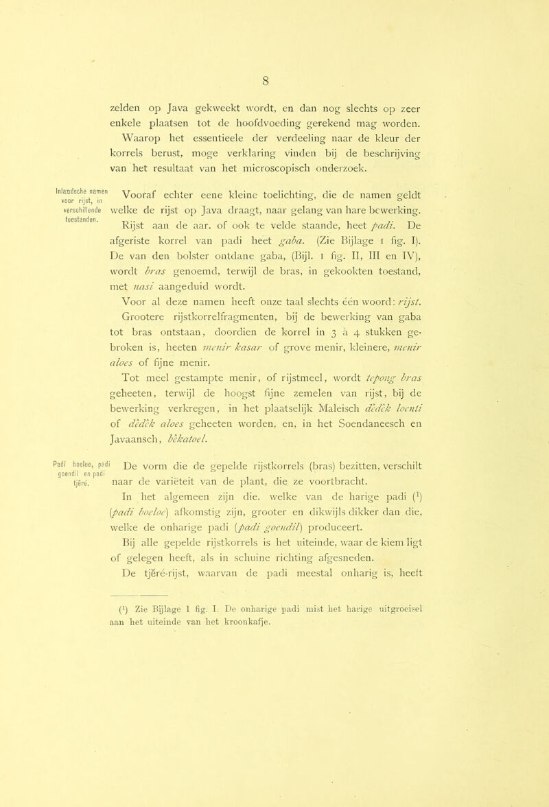 Inlandsche namen voor rijst, in verschillende tcestanden. Padi boeloe, pad goendil en padi tjêré. zelden op Java gekweekt wordt, en dan nog slechts op zeer enkele plaatsen tot de hoofdvoeding gerekend mag worden. Waarop het essentieele der verdeeling naar de kleur der korrels berust, moge verklaring vinden bij de beschrijving van het resultaat van het microscopisch onderzoek. Vooraf echter eene kleine toelichting, die de namen geldt welke de rijst op Java draagt, naar gelang van hare bewerking. Rijst aan de aar. of ook te velde staande, heet padi. De afgeriste korrel van padi heet galm. (Zie Bijlage i hg. I). De van den bolster ontdane gaba, (Bijl. i hg. II, III en IV), wordt bras genoemd, terwijl de bras, in gekookten toestand, met nasi aangeduid wordt. Voor al deze namen heeft onze taal slechts één woord; rZ/k/. Grootere rijstkorrelfragmenten, bij de bewerking van gaba tot bras ontstaan, doordien de korrel in 3 a 4 stukken ge- broken is, heeten mcnir kasar of grove menir, kleinere, incnir aloes of hjne menir. Tot meel gestampte menir, of rijstmeel, wordt tcpong bras geheeten, terwijl de hoogst hjne zemelen van rijst, bij de bewerking verkregen, in het plaatselijk Maleisch dcdck locnti of dcdck aloes geheeten worden, en, in het Soendaneesch en Javaansch, bekatoel. ' De vorm die de gepelde rijstkorrels (bras) bezitten, verschilt naar de variëteit van de plant, die ze voortbracht. In het algemeen zijn die. welke van de harige padi (^) (padi boeloe) afkomstig zijn, grooter en dikwijls dikker dan die, welke de onharige padi (padi goendil) produceert. Bij alle gepelde rijstkorrels is het uiteinde, waar de kiem ligt of gelegen heeft, als in schuine richting afgesneden. De tjëré-rijst, waarvan de padi meestal onharig is, heeft (h Zie Bijlage 1 fig. I. De onharige padi mist het harige uitgroeisel aan het uiteinde van het kroonkafje.