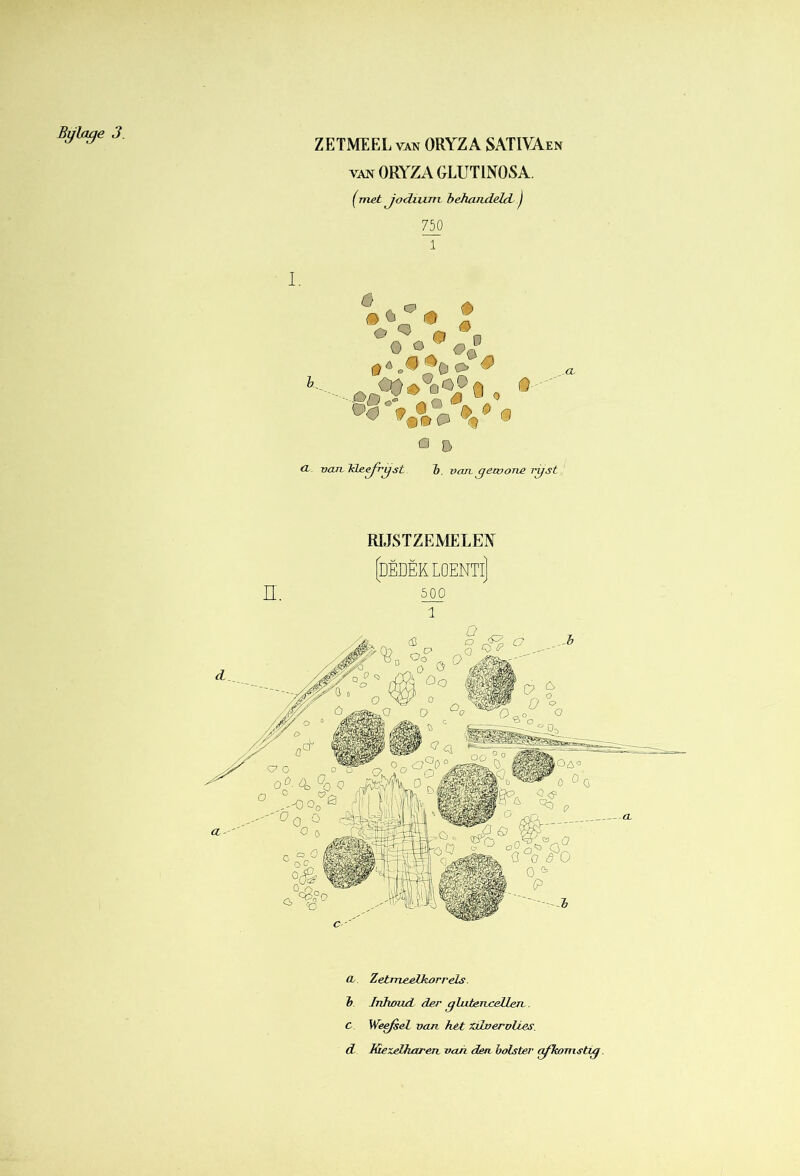 ZETMEEL VAN ORYZ A SATIVAen VAN ORYZA GLUTINOSA. ^-met Jodium behandeld, j 750 1 O D <X van, Td&ejvgst b. van. gewone rjst RIJSTZEMELEY [dëdëkloenti] n. ^ 1 CL. ZetrneehkarreLs. b. Inhoud der glutencellejL. c. Wejsel van. het xxLverolies.