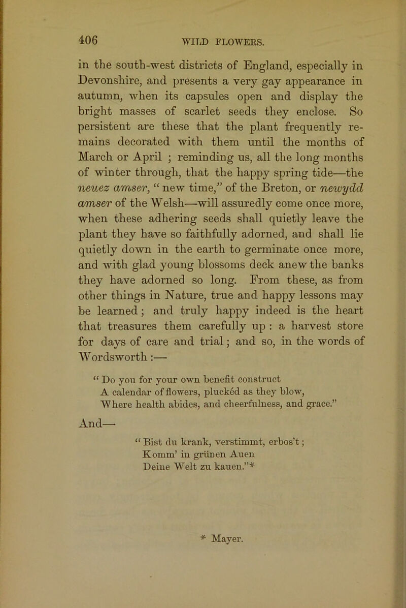 in the south-west districts of England, especially in Devonshire, and presents a very gay appearance in autumn, when its capsules open and display the bright masses of scarlet seeds they enclose. So persistent are these that the plant frequently re- mains decorated with them until the months of March or April ; reminding us, all the long months of winter through, that the happy spring tide—the neuez amser, “ new time,” of the Breton, or newydd amser of the Welsh—will assuredly come once more, when these adhering seeds shall quietly leave the plant they have so faithfully adorned, and shall lie quietly down in the earth to germinate once more, and with glad young blossoms deck anew the banks they have adorned so long. From these, as from other things in Nature, true and happy lessons may be learned; and truly happy indeed is the heart that treasures them carefully up : a harvest store for days of care and trial; and so, in the words of Wordsworth;— “ Do you for your own benefit construct A calendar of flowers, plucked as they blow, ■\V here health abides, and cheerfulness, and grace.” And—• “ Bist du krank, verstimmt, erbos’t; Komm’ in griinen Aueii Deiue Welt zu kauen.”* * Mayer.