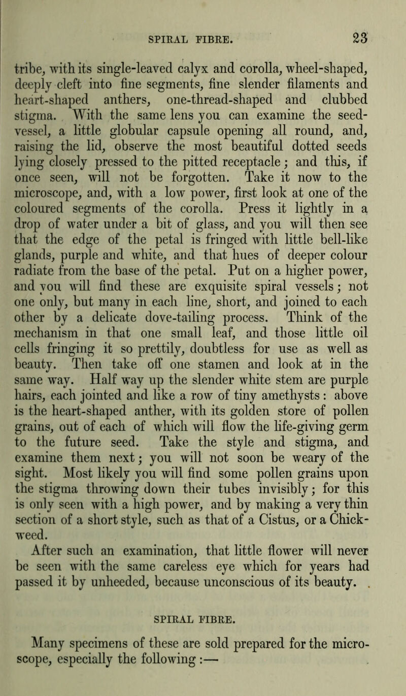 tribe, with its single-leaved calyx and corolla, wheel-shaped, deeply cleft into fine segments, fine slender filaments and heart-shaped anthers, one-thread-shaped and clubbed stigma. With the same lens you can examine the seed- vessel, a little globular capsule opening all round, and, raising the lid, observe the most beautiful dotted seeds lying closely pressed to the pitted receptacle; and this, if once seen, will not be forgotten. Take it now to the microscope, and, with a low power, first look at one of the coloured segments of the corolla. Press it lightly in a drop of water under a bit of glass, and you will then see that the edge of the petal is fringed with little bell-like glands, purple and white, and that hues of deeper colour radiate from the base of the petal. Put on a higher power, and you will find these are exquisite spiral vessels; not one only, but many in each line, short, and joined to each other by a delicate dove-tailing process. Think of the mechanism in that one small leaf, and those little oil cells fringing it so prettily, doubtless for use as well as beauty. Then take off one stamen and look at in the same way. Half way up the slender white stem are purple hairs, each jointed and like a row of tiny amethysts : above is the heart-shaped anther, with its golden store of pollen grains, out of each of which will flow the life-giving germ to the future seed. Take the style and stigma, and examine them next; you will not soon be weary of the sight. Most likely you will find some pollen grains upon the stigma throwing down their tubes invisibly; for this is only seen with a high power, and by making a very thin section of a short style, such as that of a Cistus, or a Chick- weed. After such an examination, that little flower will never be seen with the same careless eye which for years had passed it by unheeded, because unconscious of its beauty. . SPIRAL FIBRE. Many specimens of these are sold prepared for the micro- scope, especially the following:—