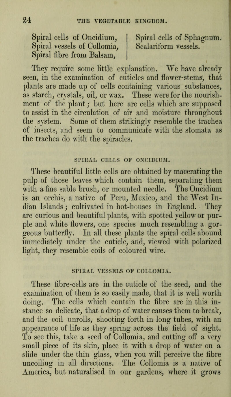 Spiral cells of Oncidium, Spiral vessels of Collomia, Spiral cells of Sphagnum. Scalariform vessels. Spiral fibre from Balsam, i They require some little explanation. We have already seen, in the examination of cuticles and flower-stems, that plants are made up of cells containing various substances, as starch, crystals, oil, or wax. These were for the nourish- ment of the plant; but here are cells which are supposed to assist in the circulation of air and moisture throughout the system. Some of them strikingly resemble the trachea of insects, and seem to communicate with the stomata as the trachea do with the spiracles. These beautiful little cells are obtained by macerating the pulp of those leaves which contain them, separating them with a fine sable brush, or mounted needle. The Oncidium is an orchis, a native of Peru, Mexico, and the West In- dian Islands; cultivated in hot-houses in England. They are curious and beautiful plants, with spotted yellow or pur- ple and white flowers, one species much resembling a gor- geous butterfly. In all these plants the spiral cells abound immediately under the cuticle, and, viewed with polarized light, they resemble coils of coloured wire. These fibre-cells are in the cuticle of the seed, and the examination of them is so easily made, that it is well worth doing. The cells which contain the fibre are in this in- stance so delicate, that a drop of water causes them to break, and the coil unrolls, shooting forth in long tubes, with an appearance of life as they spring across the field of sight. To see this, take a seed of Collomia, and cutting off a very small piece of its skin, place it with a drop of water on a slide under the thin glass, when you will perceive the fibre uncoiling in all directions. The Collomia is a native of America, but naturalised in our gardens, where it grows SPIRAL CELLS OF ONCIDIUM. SPIRAL VESSELS OF COLLOMIA.