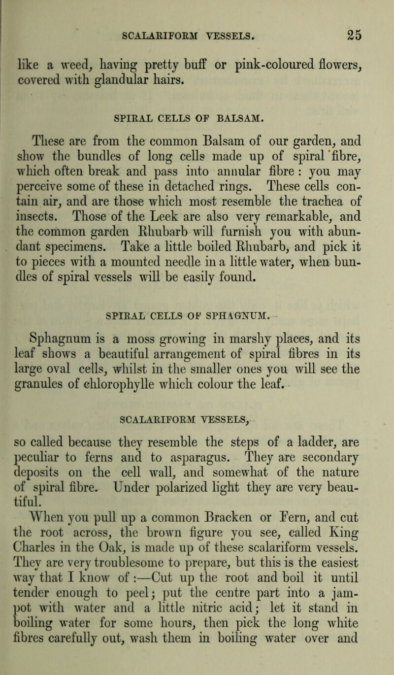 like a weed, having pretty buff or pink-coloured flowers, covered with glandular hairs. SPIRAL CELLS OF BALSAM. These are from the common Balsam of our garden, and show the bundles of long cells made up of spiral'fibre, which often break and pass into annular fibre : you may perceive some of these in detached rings. These cells con- tain air, and are those which most resemble the trachea of insects. Those of the Leek are also very remarkable, and the common garden Rhubarb will furnish you with abun- dant specimens. Take a little boiled Rhubarb, and pick it to pieces with a mounted needle in a little water, when bun- dles of spiral vessels will be easily found. SPIRAL CELLS OF SPHAGNUM. Sphagnum is a moss growing in marshy places, and its leaf shows a beautiful arrangement of spiral fibres in its large oval cells, whilst in the smaller ones you will see the granules of ehlorophylle which colour the leaf. S CALARIFORM VESSELS, so called because they resemble the steps of a ladder, are peculiar to ferns and to asparagus. They are secondary deposits on the cell wall, and somewhat of the nature of spiral fibre. Under polarized light they are very beau- tiful. When you pull up a common Bracken or Bern, and cut the root across, the brown figure you see, called King Charles in the Oak, is made up of these scalariform vessels. They are very troublesome to prepare, but this is the easiest way that I know of :—Cut up the root and boil it until tender enough to peel; put the centre part into a jam- pot with water and a little nitric acid; let it stand in boiling water for some hours, then pick the long white fibres carefully out, wash them in boiling water over and