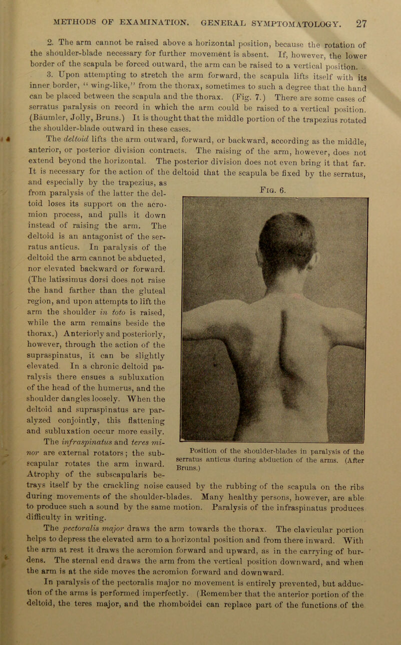 2. The arm cannot be raised, above a horizontal position, because the rotation of the shoulder-blade necessary for further movement is absent. If, however, the lower border of the scapula be forced ouUvard, the arm can be raised to a vertical position. 3. Upon attempting to stretch the arm forward, the scapula lifts itself with its inner border, “ wing-like,” from the thorax, sometimes to such a degree that the hand can be placed between the scapula and the thorax. (Fig. 7.) There are some cases of serratus paralysis on record in which the arm could be raised to a vertical position. (Baumler, Jolly, Bruns.) It is thought that the middle portion of the trapezius rotated the shoulder-blade outward in these cases. The deltoid lifts the arm outward, forward, or backward, according as the middle, anterior, or posterior division contracts. The raising of the arm, however, does not extend beyond the horizontal. The posterior division does not even bring it that far. It is necessary for the action of the deltoid that the scapula be fixed by the serratus, and especially by the trapezius, as from paralysis of the latter the del- toid loses its support on the acro- mion process, and pulls it down instead of raising the arm. The deltoid is an antagonist of the ser- ratus anticus. In paralysis of the deltoid the arm cannot be abducted, nor elevated backward or forward. (The latissimus dorsi does not raise the hand farther than the gluteal region, and upon attempts to lift the arm the shoulder in toto is raised, while the arm remains beside the thorax.) Anteriorly and posteriorly, however, through the action of the supraspinatus, it can be slightly elevated. In a chronic deltoid pa- ralysis there ensues a subluxation of the head of the humerus, and the shoulder dangles loosely. When the deltoid and supraspinatus are par- alyzed conjointly, this flattening and subluxation occur more easily. The infraspinatus and teres mi- nor are external rotators ; the sub- Position of the shoulder-blades in paralysis of the scapular rotates the arm inward. nnllcus tluri,,« aMuotlon <* the ™ <Alto Atrophy of the subscapularis be- trays itself by tbe crackling noise caused by the rubbing of the scapula on the ribs during movements of the shoulder-blades. Many healthy persons, however, are able to produce such a sound by the same motion. Paralysis of the infraspinatus produces difficulty in writing. The pectoralis major draws the arm towards the thorax. The clavicular portion helps to depress the elevated arm to a horizontal position and from there inward. With the arm at rest it draws the acromion forward and upward, as in the carrying of bur- dens. The sternal end draws the arm from the vertical position downward, and when the arm is at the side moves the acromion forward and downward. In paralysis of the pectoralis major no movement is entirely prevented, but adduc- tion of the arms is performed imperfectly. (Remember that the anterior portion of the deltoid, the teres major, and the rhomboidei can replace part of the functions of the