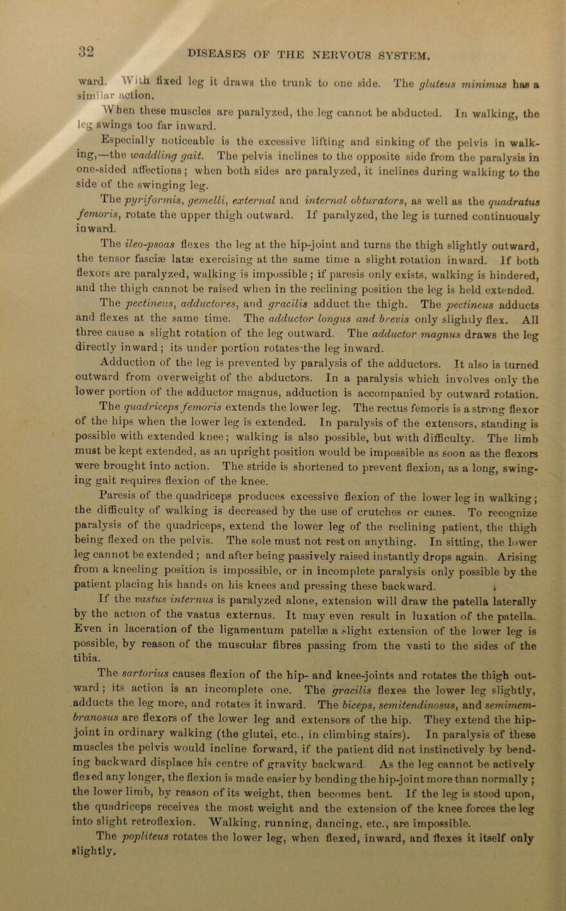 ward. With fixed leg it draws the trunk to one side. The gluteus minimus has a similar action. .V hen these muscles are paralyzed, the leg cannot be abducted. In walking, the leg swings too far inward. Especially noticeable is the excessive lifting and sinking of the pelvis in walk- ing)—the waddling gait. The pelvis inclines to the opposite side from the paralysis in one-sided affections; when both sides are paralyzed, it inclines during walking to the side of the swinging leg. The pyriformis, gemelli, external and internal obturators, as well as the quadratus femo7'is, rotate the upper thigh outward. If paralyzed, the leg is turned continuously inward. The ileo-psoas flexes the leg at the hip-joint and turns the thigh slightly outward, the tensor fasciae latae exercising at the same time a slight, rotation inward. If both flexors are paralyzed, walking is impossible ; if paresis only exists, walking is hindered, and the thigh cannot be raised when in the reclining position the leg is held extended. The pectineus, adductores, and gracilis adduct the thigh. The pectineus adducts and flexes at the same time. The adductor longus and brevis only slightly flex. All three cause a slight rotation of the leg outward. The adductor magnus draws the leg directly inward ; its under portion rotates-the leg inward. Adduction of the leg is prevented by paralysis of the adductors. It also is turned outward from overweight of the abductors. In a paralysis which involves only the lower portion of the adductor magnus, adduction is accompanied by outward rotation. The quadriceps femoris extends the lower leg. The rectus femoris is a strong flexor of the hips when the lower leg is extended. In paralysis of the extensors, standing is possible with extended knee; walking is also possible, but with difficulty. The limb must be kept extended, as an upright position would be impossible as soon as the flexors were brought into action. The stride is shortened to prevent flexion, as a long, swing- ing gait requires flexion of the knee. Paresis of the quadriceps produces excessive flexion of the lower leg in walking; the difficulty of walking is decreased by the use of crutches or canes. To recognize paralysis of the quadriceps, extend the lower leg of the reclining patient, the thigh being flexed on the pelvis. The sole must not rest on anything. In sitting, the lower leg cannot be extended ; and after being passively raised instantly drops again. Arising from a kneeling position is impossible, or in incomplete paralysis only possible by the patient placing his hands on his knees and pressing these backward. . If the vastus internus is paralyzed alone, extension will draw the patella laterally by the action of the vastus externus. It may even result in luxation of the patella. Even in laceration of the ligamentum patellae a slight extension of the lower leg is possible, by reason of the muscular fibres passing from the vasti to the sides of the tibia. The sartorius causes flexion of the hip- and knee-joints and rotates the thigh out- ward ; its action is an incomplete one. The gracilis flexes the lower leg slightly, adducts the leg more, and rotates it inward. The biceps, semitendinosus, and semimem- branosus are flexors of the lower leg and extensors of the hip. They extend the hip- joint in ordinary walking (the glutei, etc., in climbing stairs). In paralysis of these muscles the pelvis would incline forward, if the patient did not instinctively by bend- ing backward displace his centre of gravity backward. As the leg cannot be actively flexed any longer, the flexion is made easier by bending the hip-joint more than normally ; the lower limb, by reason of its weight, then becomes bent. If the leg is stood upon, the quadriceps receives the most weight and the extension of the knee forces the leg into slight retroflexion. Walking, running, dancing, etc., are impossible. The popliteus rotates the lower leg, when flexed, inward, and flexes it itself only slightly.